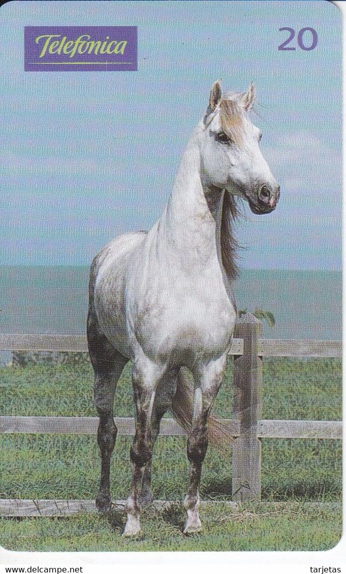 TARJETA DE BRASIL DE UN CABALLO ANDALUZ (CABALLO-HORSE) - Pferde