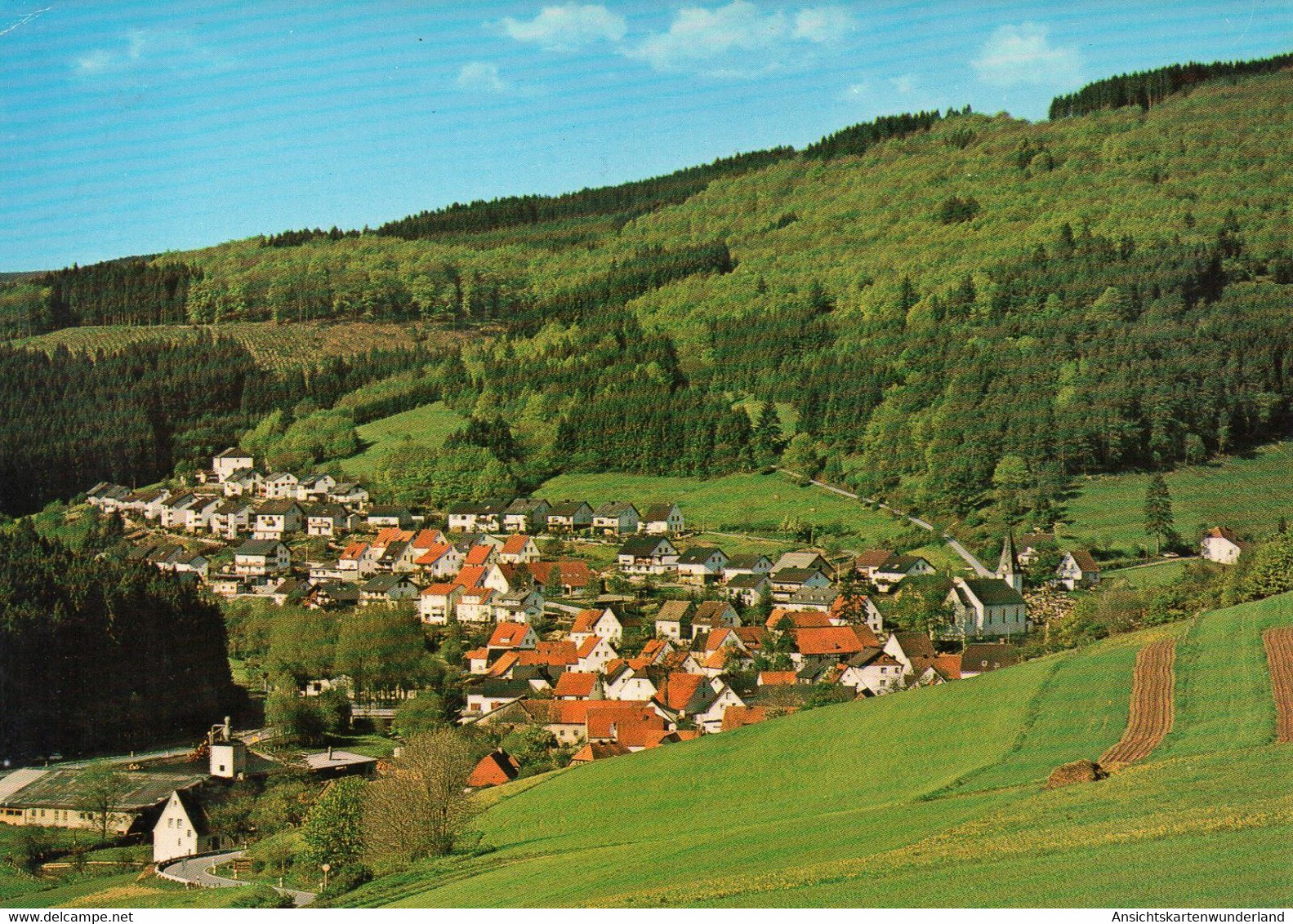 011348  Brilon-Bontkirchen Im Naturpark Diemelsee - Gesamtansicht - Brilon