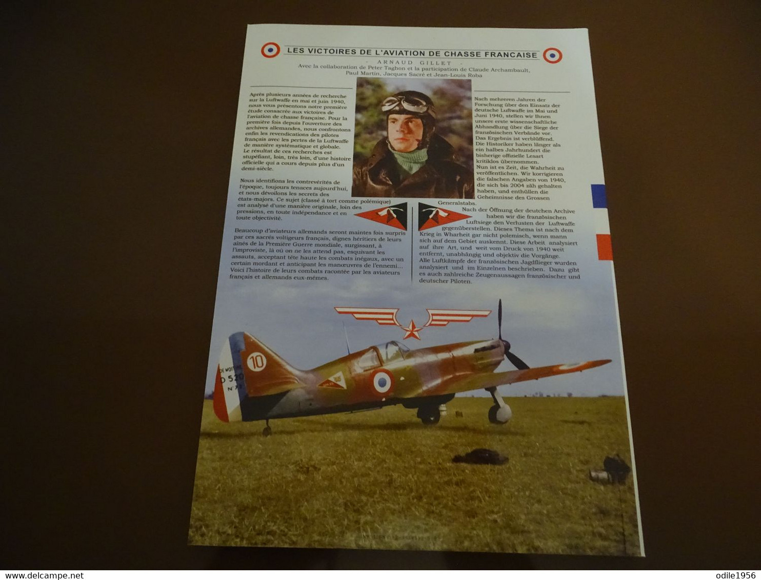 Les Victoires De L'aviation De Chasse Française 5 Juin 1940 - 24 Juin 1940 - Aviation