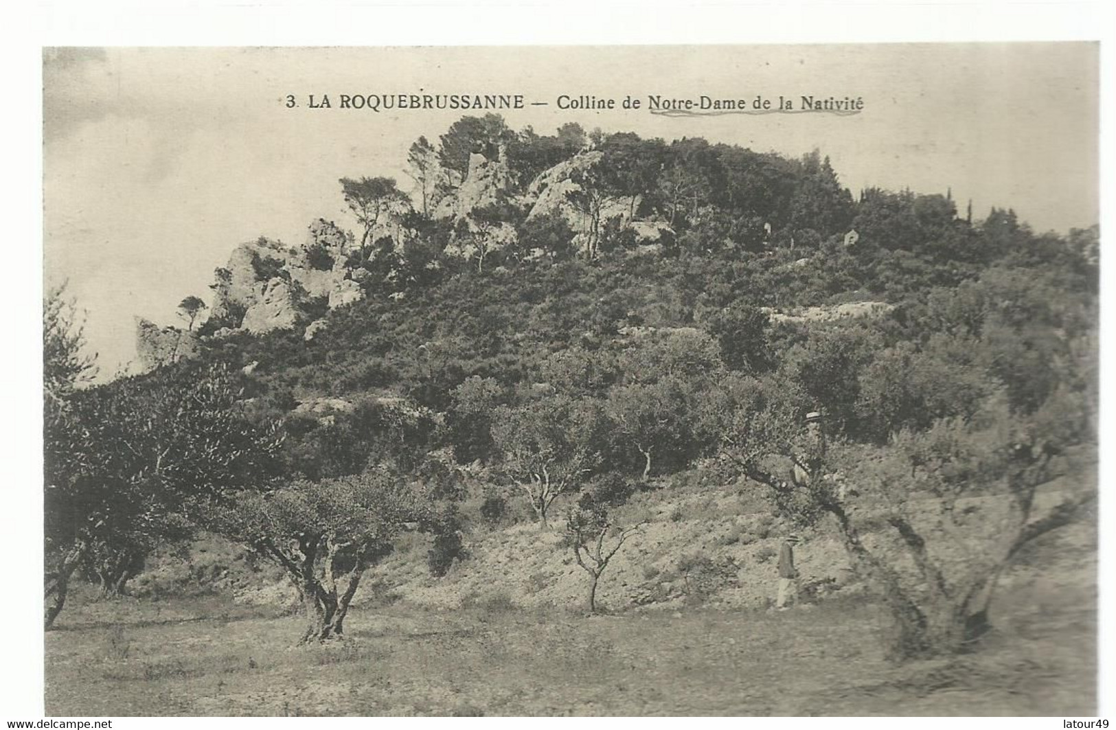 La Roquebrussanne  Colline De Notre  Dame - La Roquebrussanne