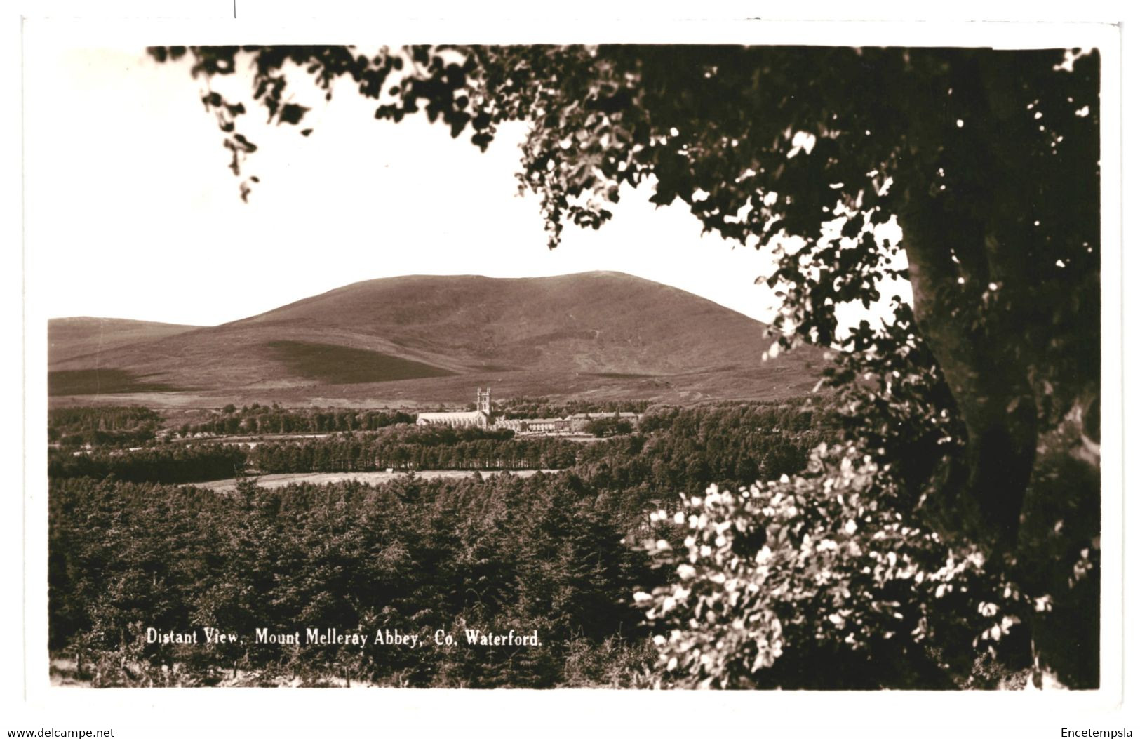 CPA  Carte Postale-Irlande- Waterford- Mount Melleray Abbey   -VM41924 - Waterford