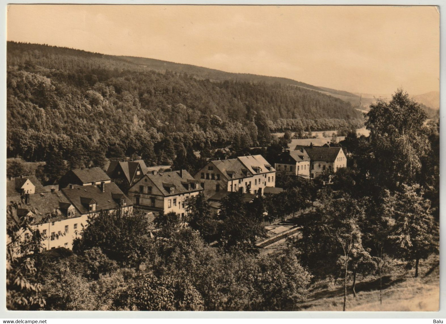 Bienenmühle Erzgeb.SW-Ansichtskarte 1964; Postalisch Gelaufen, 2 Scans - Rechenberg-Bienenmühle