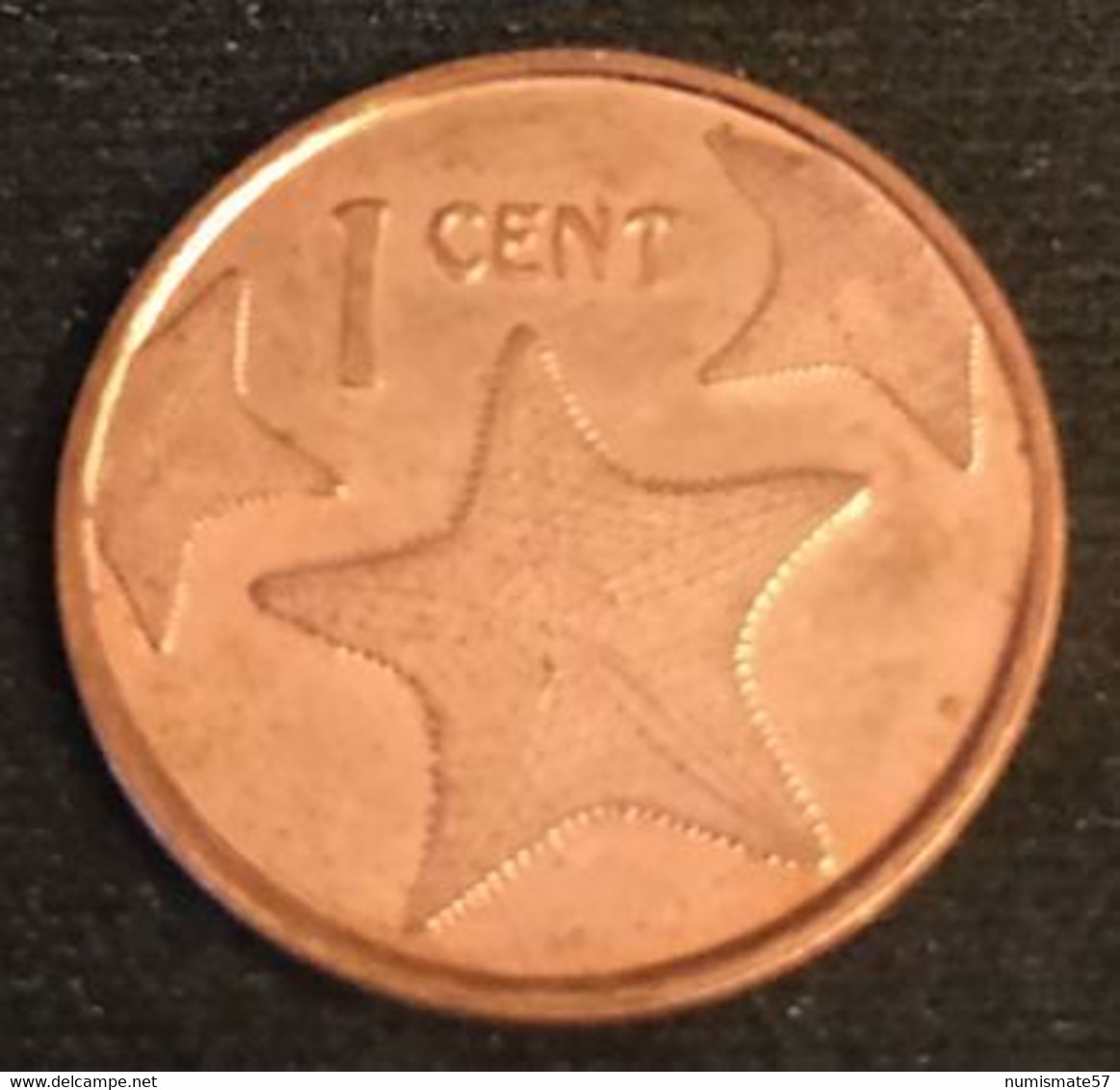 BAHAMAS - 1 CENT 2015 - Petit Module - Magnétique - KM 218.3 - Étoile De Mer - ( One Cent ) - Bahamas