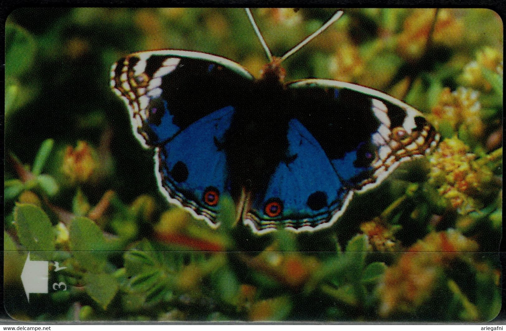 OMAN 1998 PHONECARD BUTTERFLIES USED VF!! - Schmetterlinge