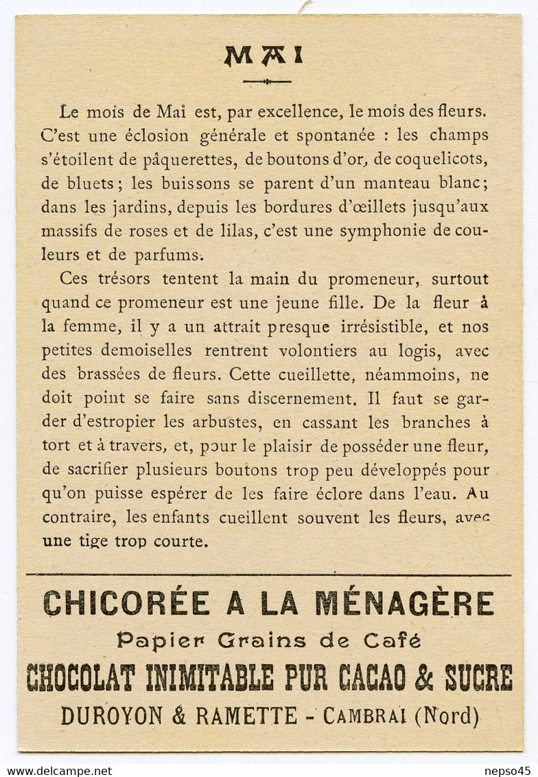 ensemble de 12 chromos.série les douze mois de l'année.chicorée à la ménagère.Chocolat Duroyon & Ramette Cambrai.