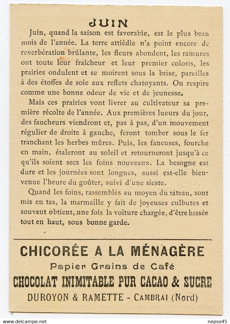 ensemble de 12 chromos.série les douze mois de l'année.chicorée à la ménagère.Chocolat Duroyon & Ramette Cambrai.