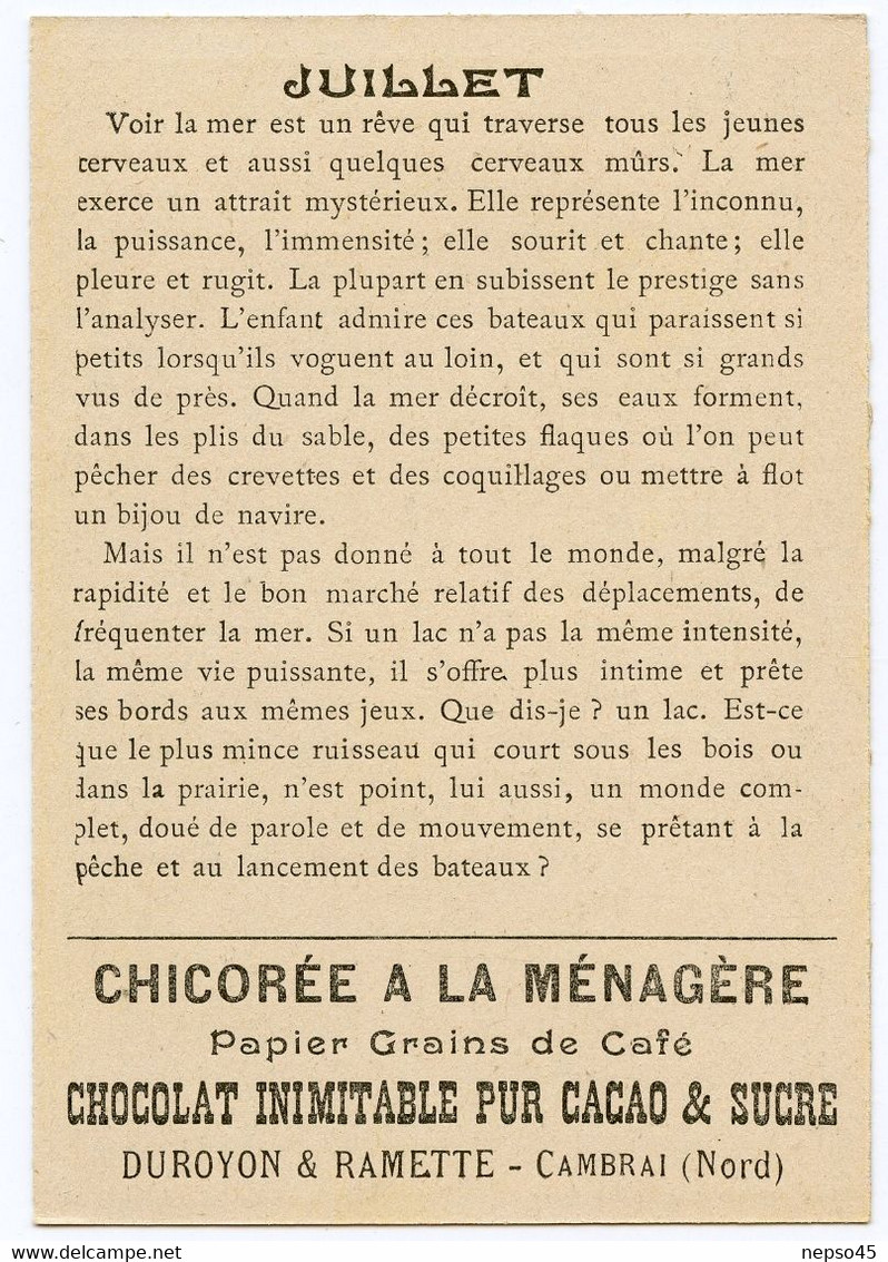 ensemble de 12 chromos.série les douze mois de l'année.chicorée à la ménagère.Chocolat Duroyon & Ramette Cambrai.