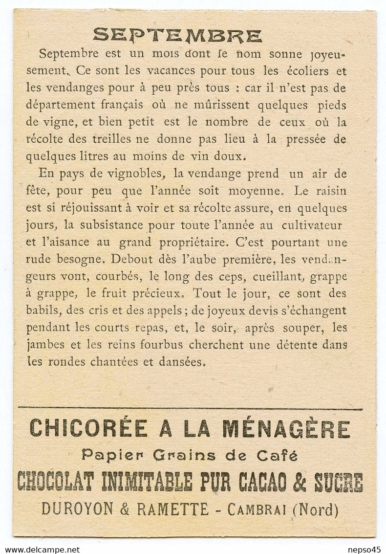 ensemble de 12 chromos.série les douze mois de l'année.chicorée à la ménagère.Chocolat Duroyon & Ramette Cambrai.