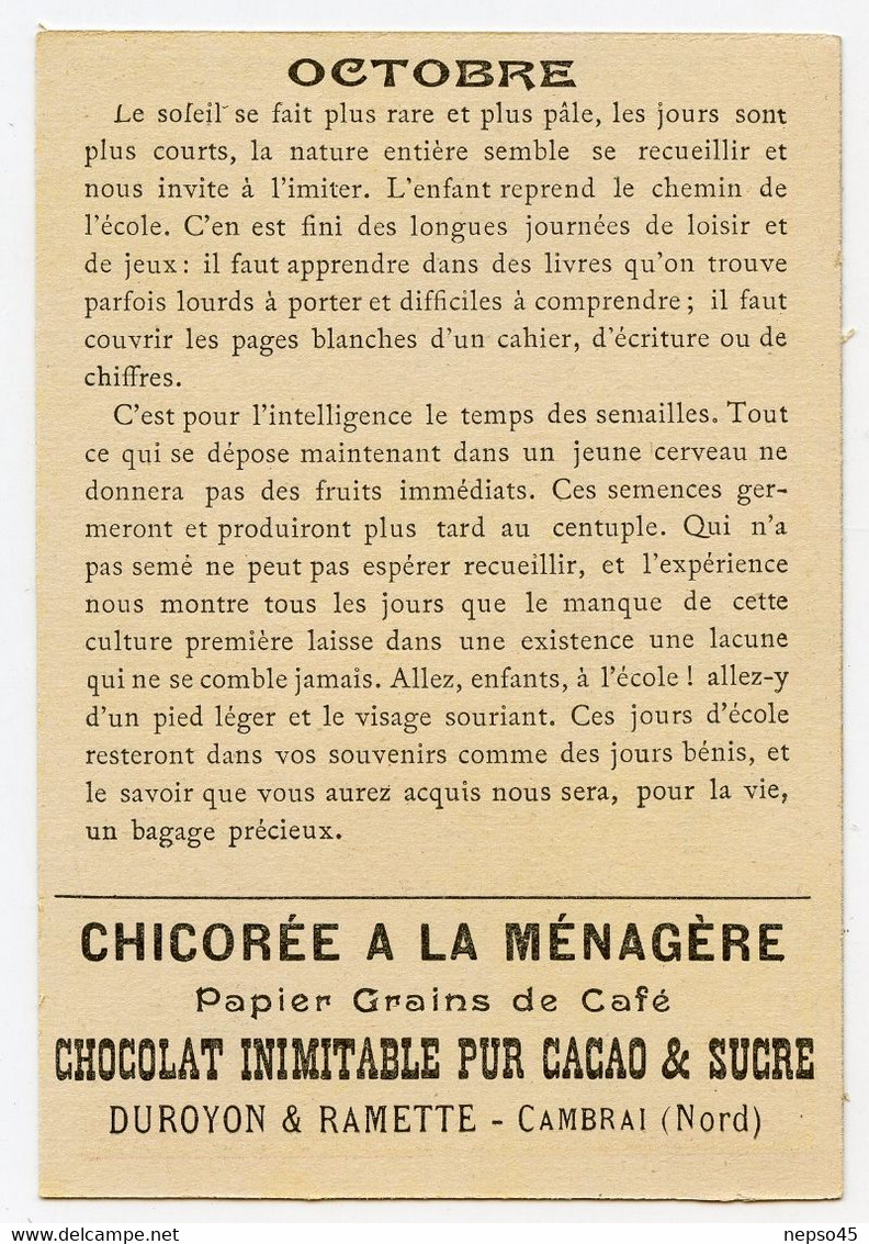 ensemble de 12 chromos.série les douze mois de l'année.chicorée à la ménagère.Chocolat Duroyon & Ramette Cambrai.