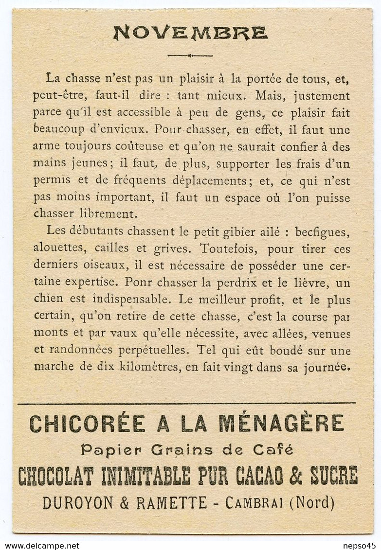 ensemble de 12 chromos.série les douze mois de l'année.chicorée à la ménagère.Chocolat Duroyon & Ramette Cambrai.