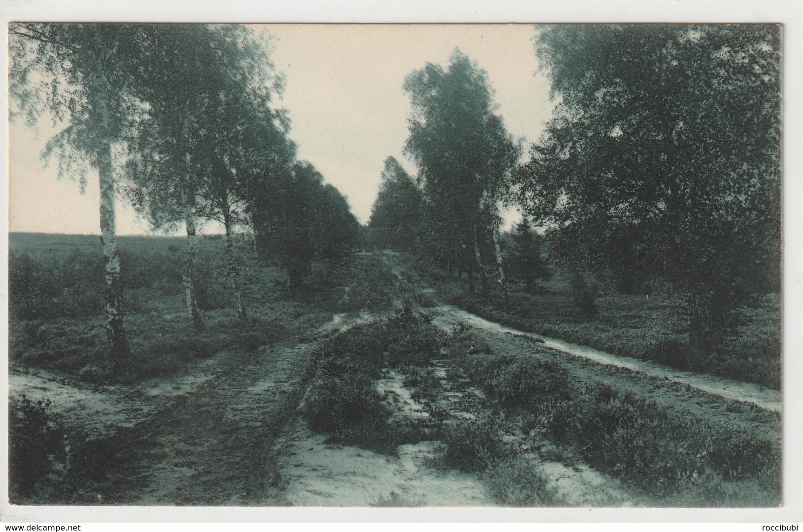 Lüneburger Heide - Lüneburger Heide