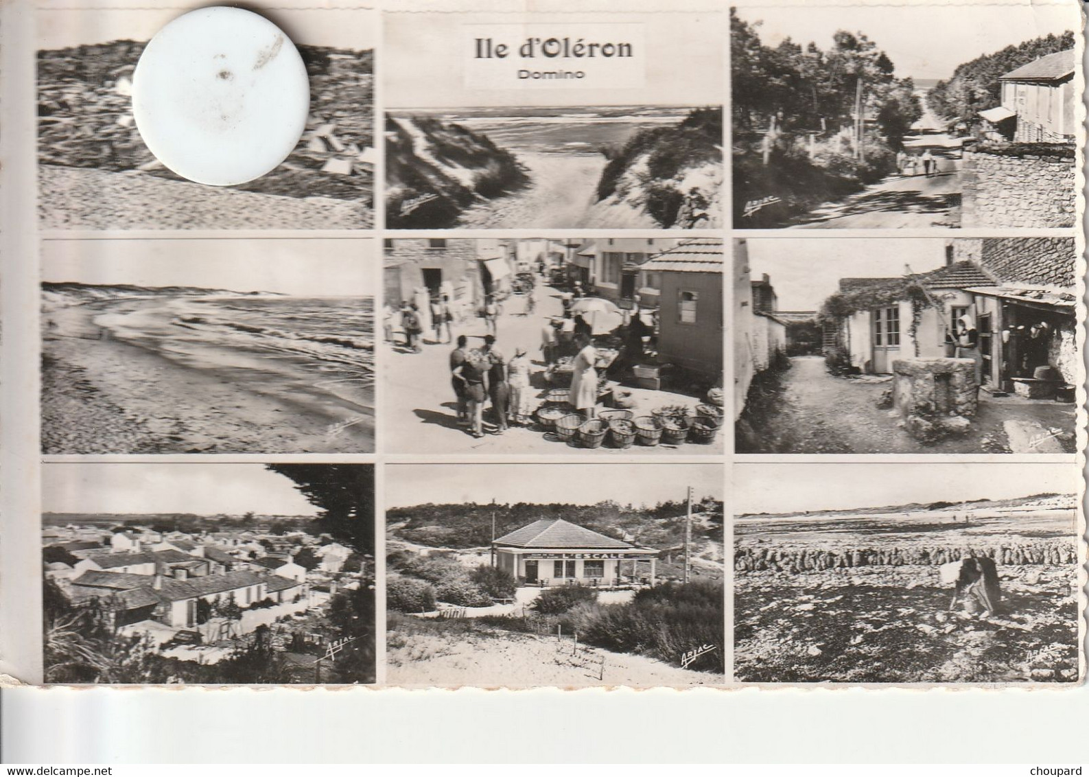 17 - Carte Postale Semi Moderne De   L'ILE  D'Oléron    Multi Vues - Ile D'Oléron
