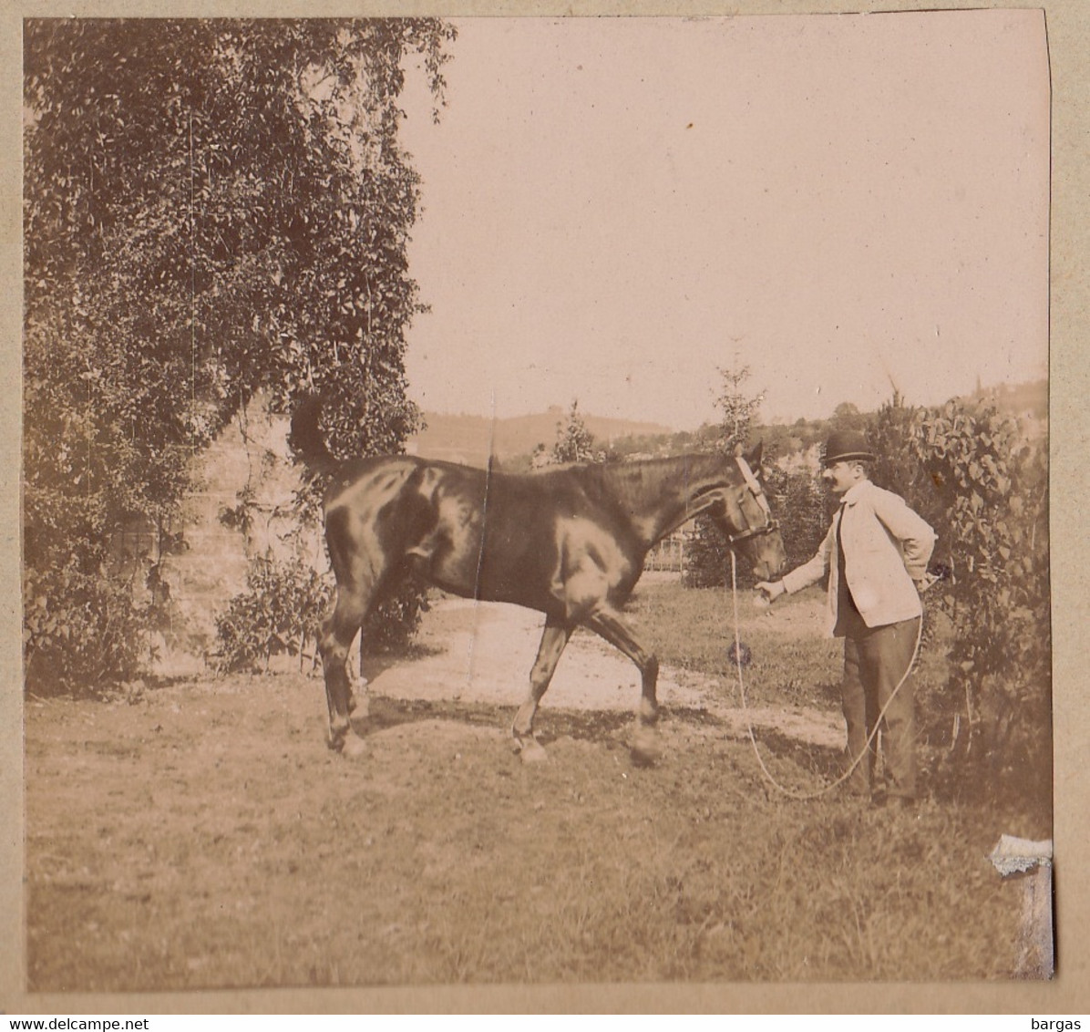 Vers 1894 4 Photos Prises Et Légendées à Artemare Ain Cheval Cavalier Attelage - Ancianas (antes De 1900)