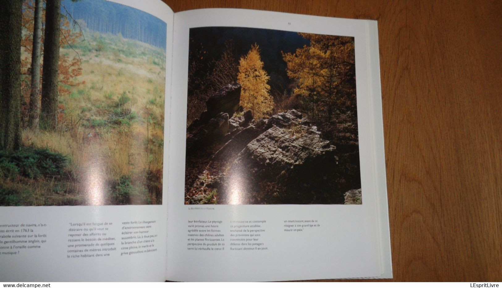 LES HAUTES FAGNES Régionalisme Nature Paysage Oiseaux Animaux Tourbière Rivière Forêt Croix Marais Plantes Botanique