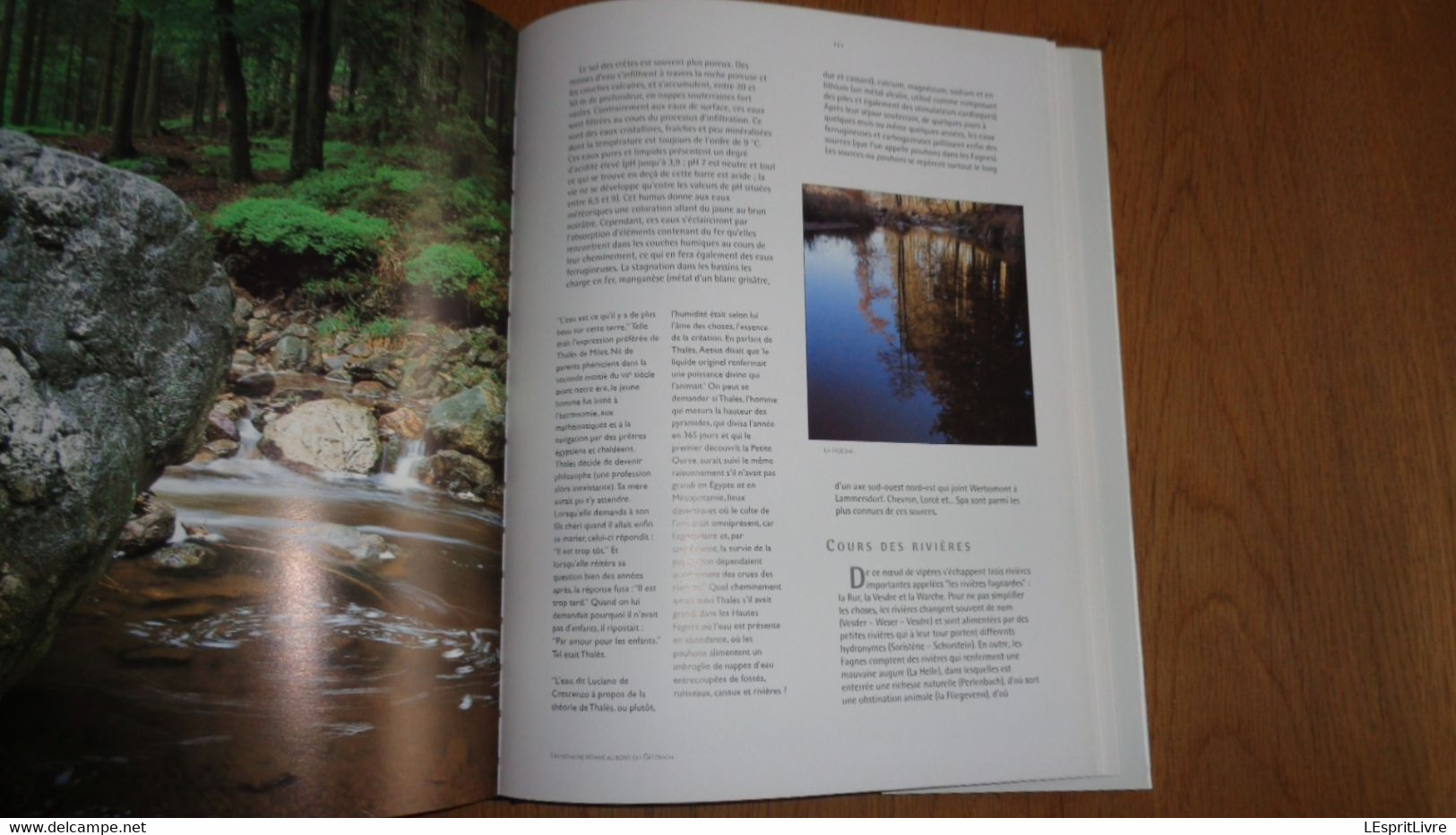 LES HAUTES FAGNES Régionalisme Nature Paysage Oiseaux Animaux Tourbière Rivière Forêt Croix Marais Plantes Botanique