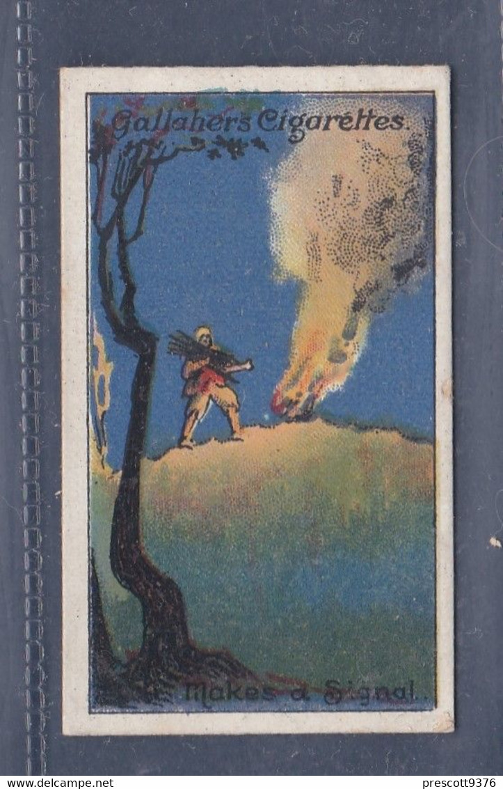 Robinson Crusoe 1928 - Makes A Signal - Gallaher Cigarette Card - Original - Gallaher