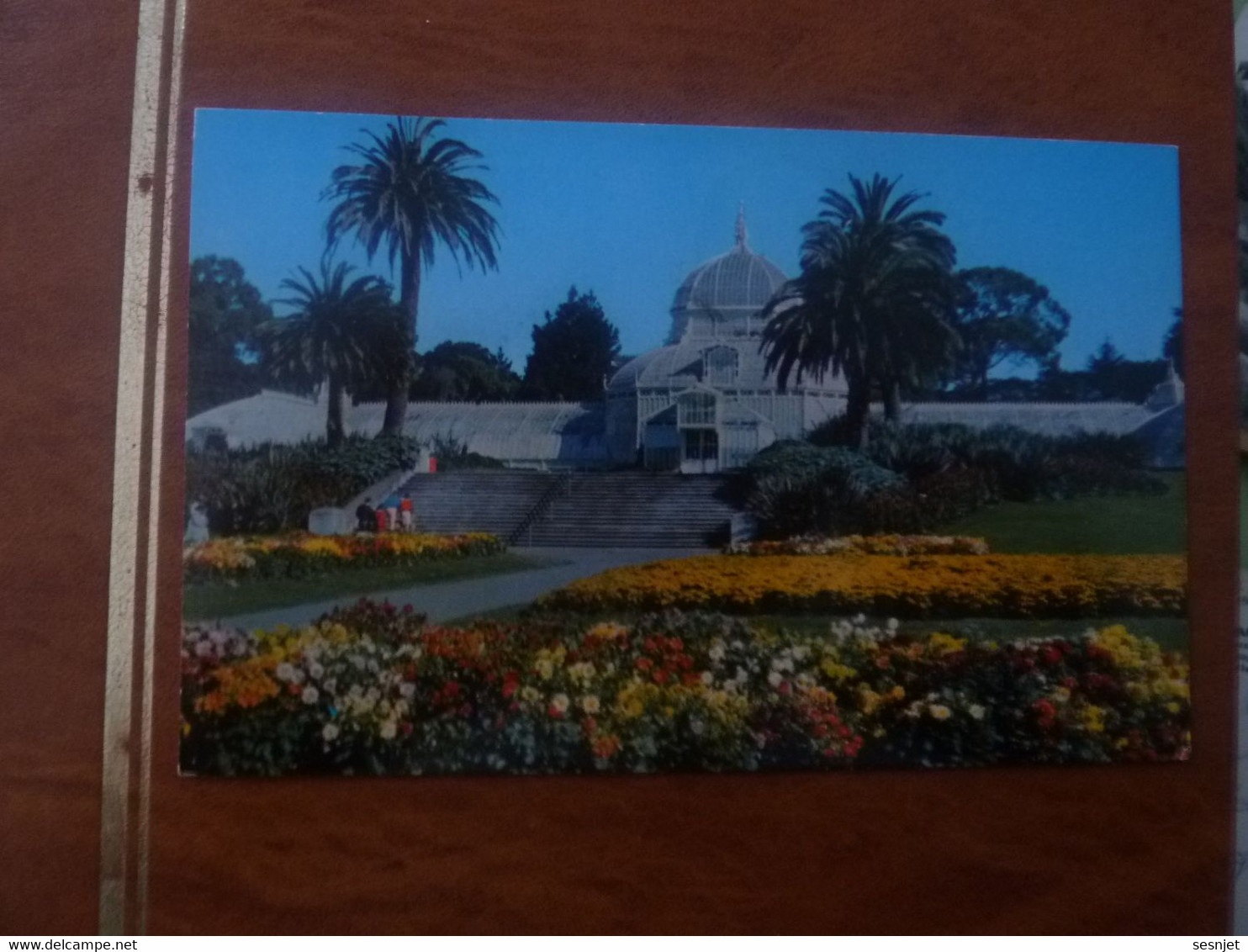 Conservatory Of Flowers - Golden Gate Park - C12110 - Editions Berkeley - Année 1979 - - San Francisco