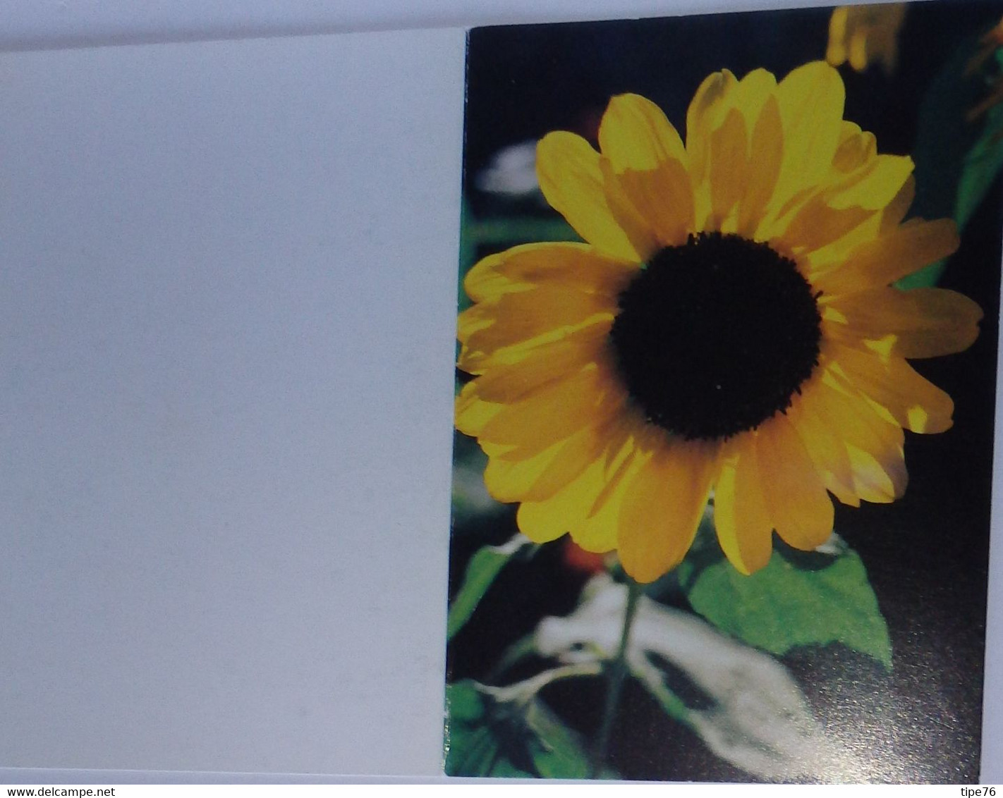 Petit Calendrier Poche 2004 Fleur Tournesol - - Small : 2001-...