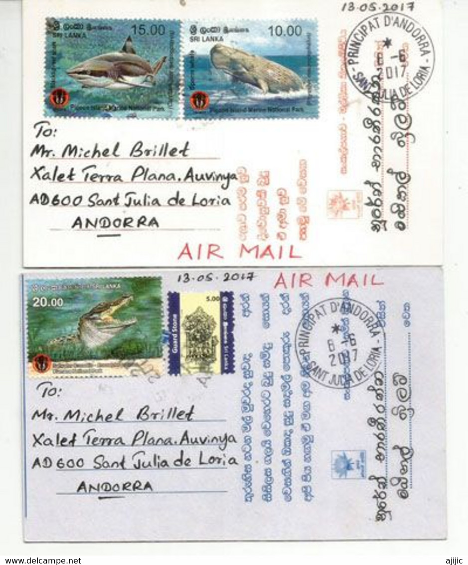 SRI LANKA.Pure Land Buddhism, 2 Postcards Addressed To ANDORRA,with Arrival Postmark - Buddhism