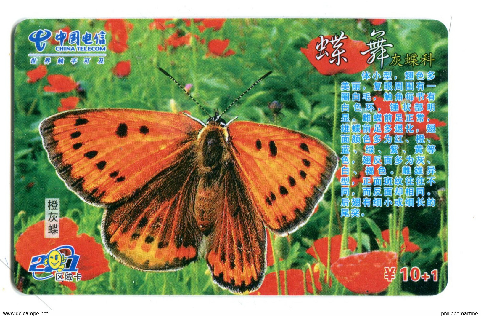 Télécarte China Télécom :  Papillon - Farfalle