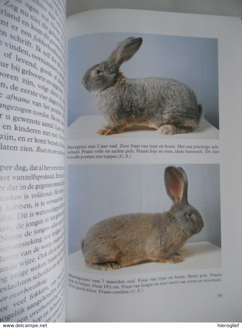 DE VLAAMSE REUS in woord en beeld door K. Steenhuis / onze liefhebberij door C. Schouten konijnen kweken