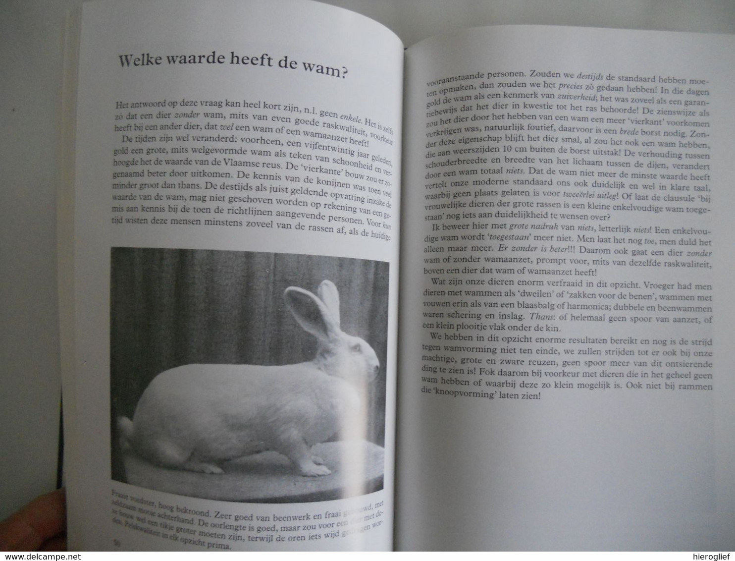 DE VLAAMSE REUS in woord en beeld door K. Steenhuis / onze liefhebberij door C. Schouten konijnen kweken