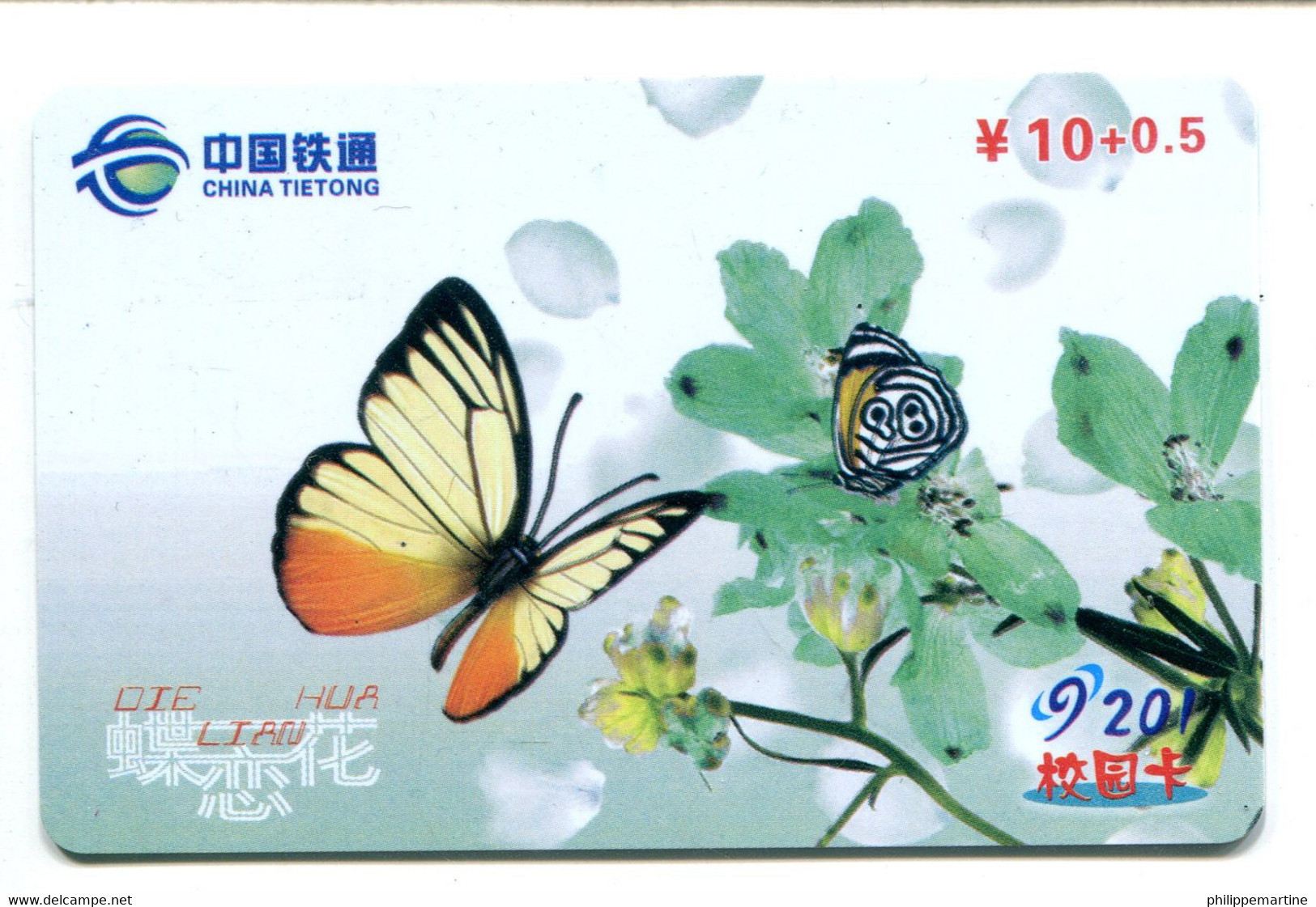 Télécarte China Tietong : Papillon - Butterflies