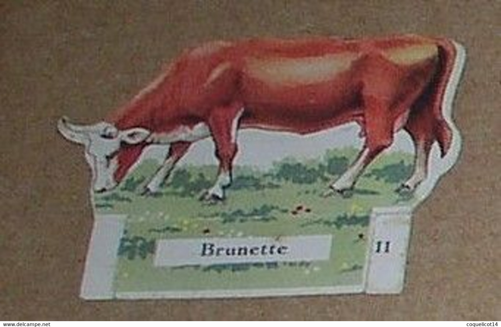 Le Petit Grosjean Et La Vache Sérieuse Decoupis  Vache Brunette 11 - Animali