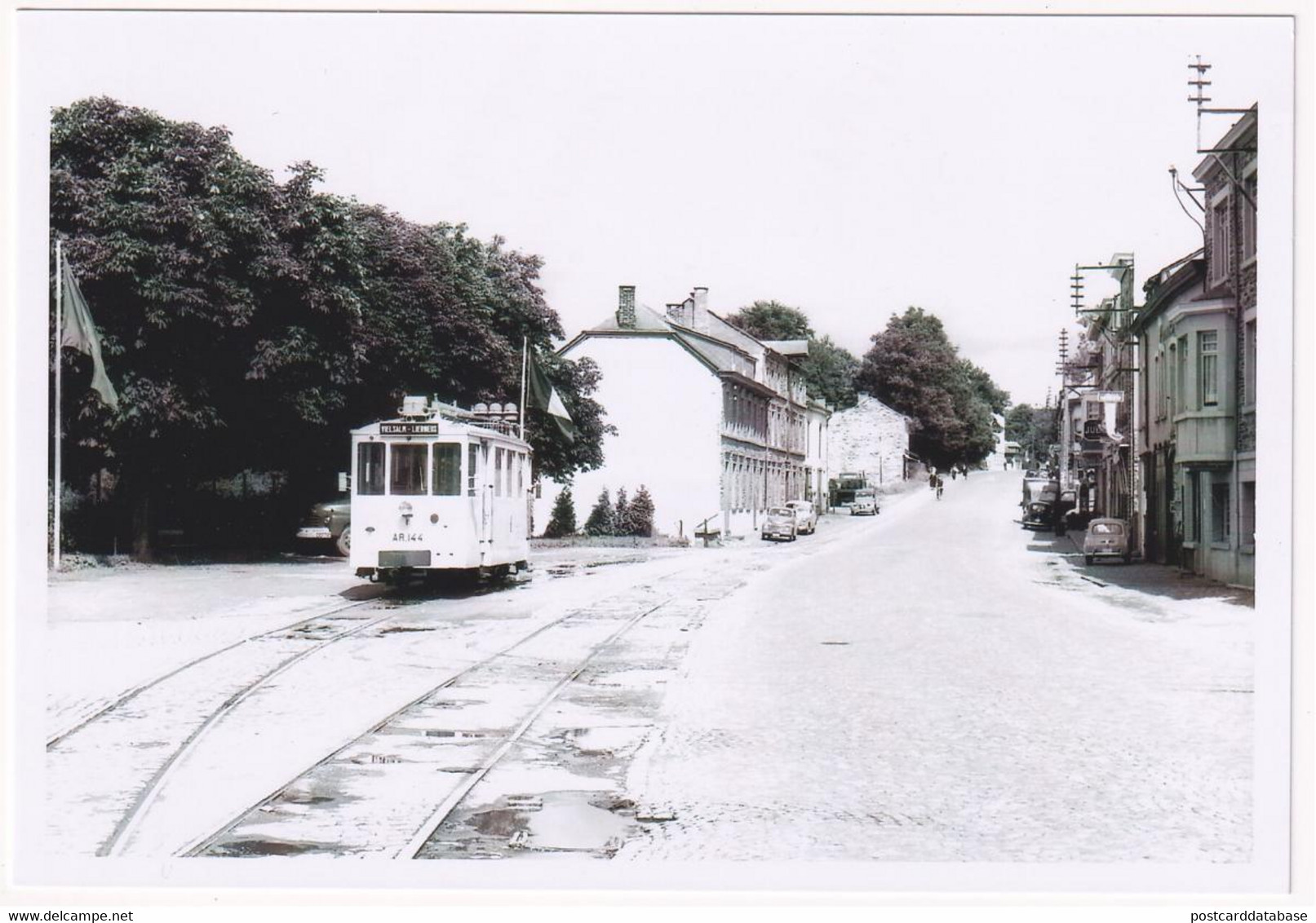 Vielsalm - Terminus - Photo - & Tram - Trains