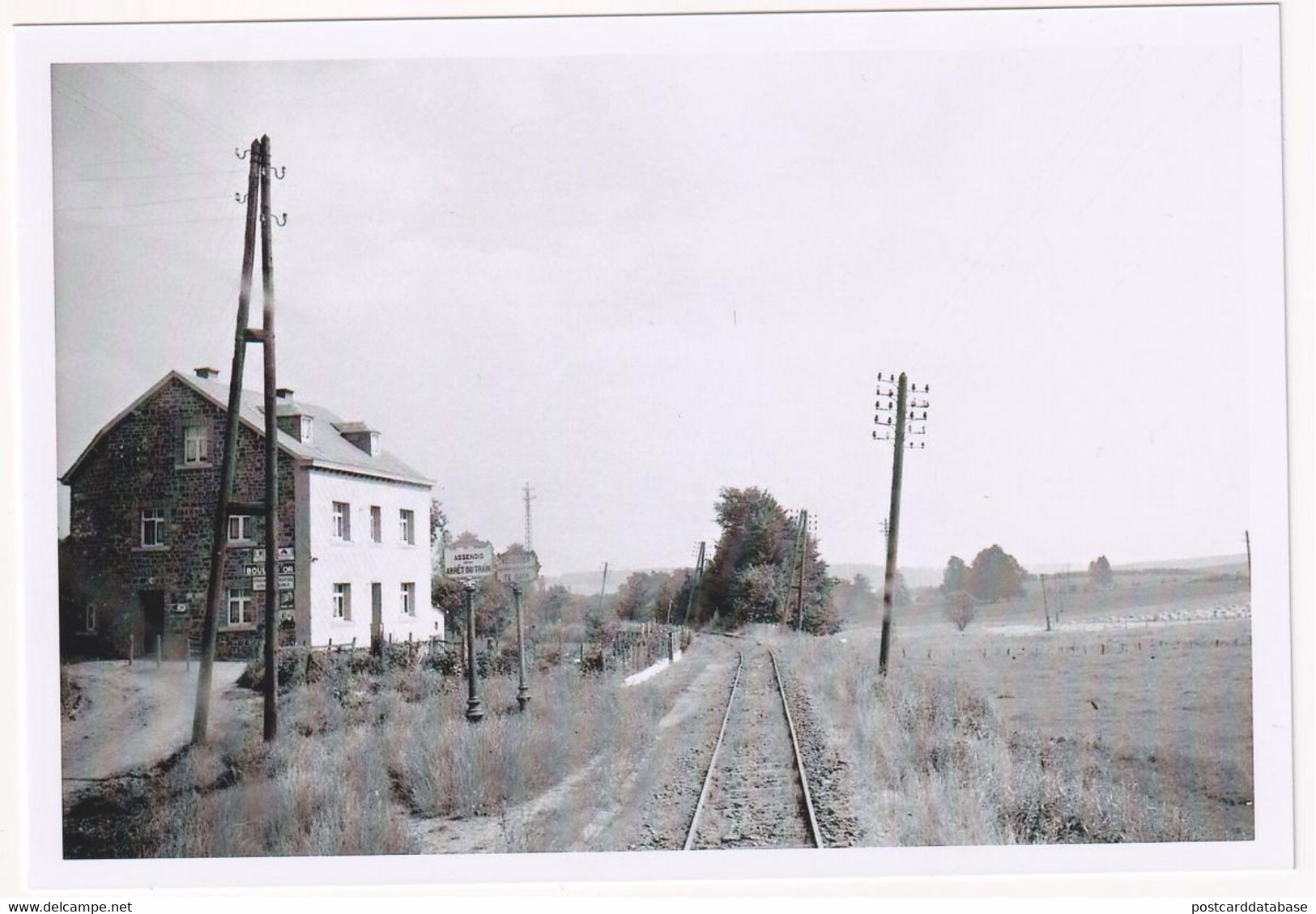 Assenois - En Revenant De Martelange - Photo - & Tram - Trains