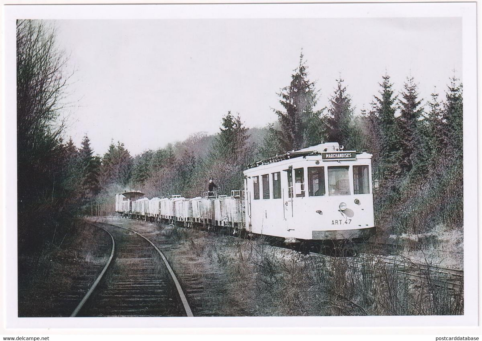 Saint-Hubert - Convoi De Transport De Bois - Photo - & Tram, Train - Ternes