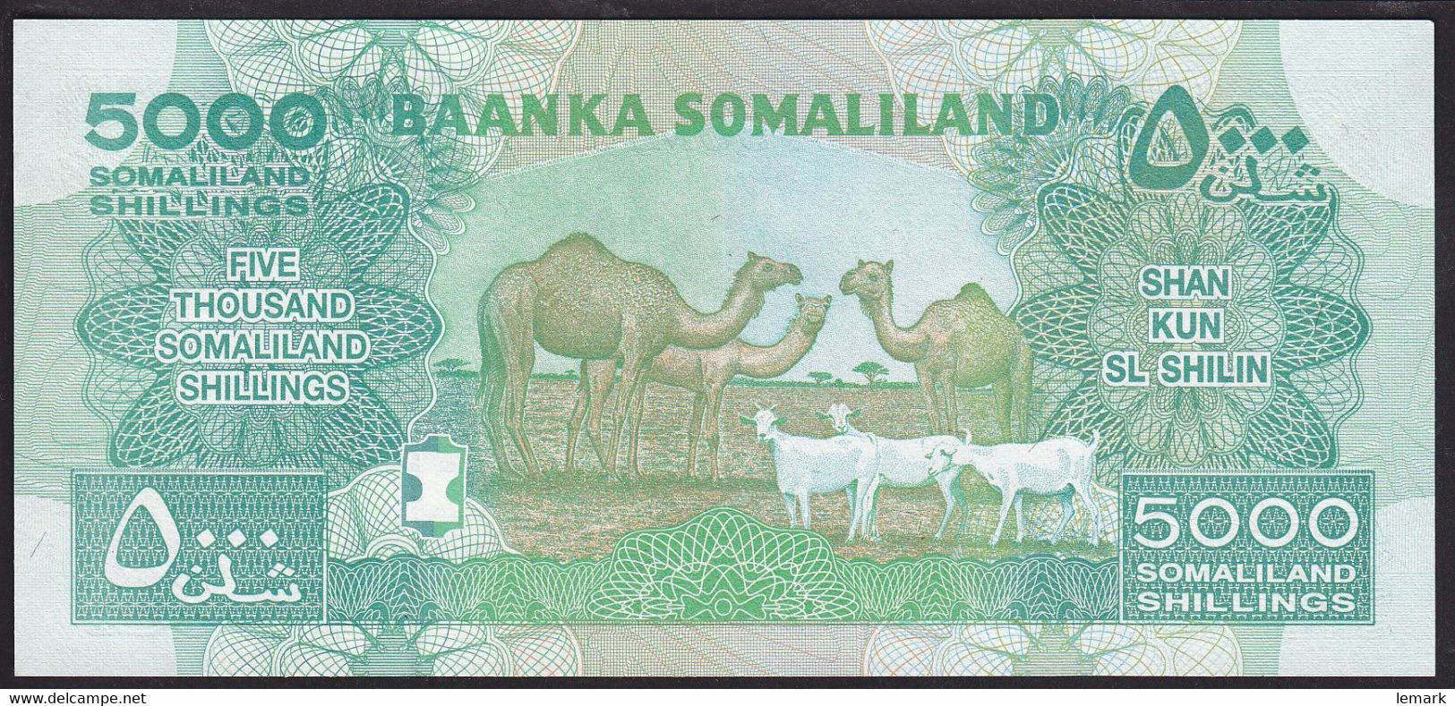 Somaliland 5000 Shilingi 2011 P21a UNC - Somalia