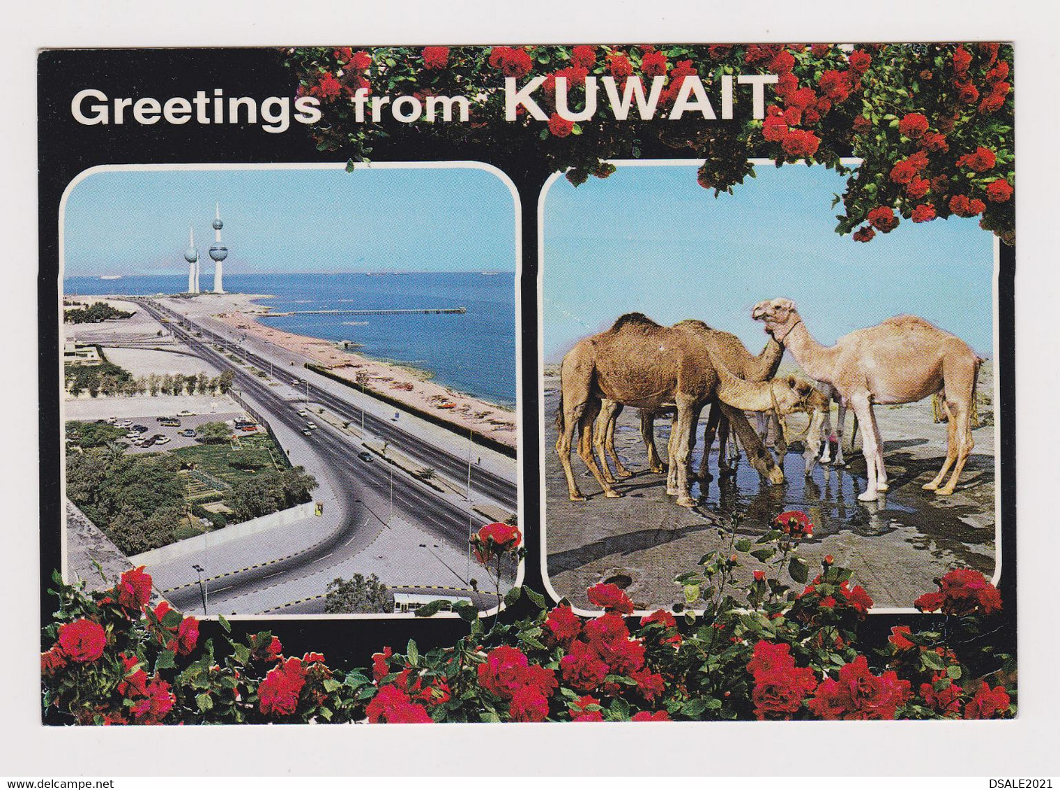 KUWAIT Camels And Water Towers View Vintage Photo Postcard (53272) - Koeweit