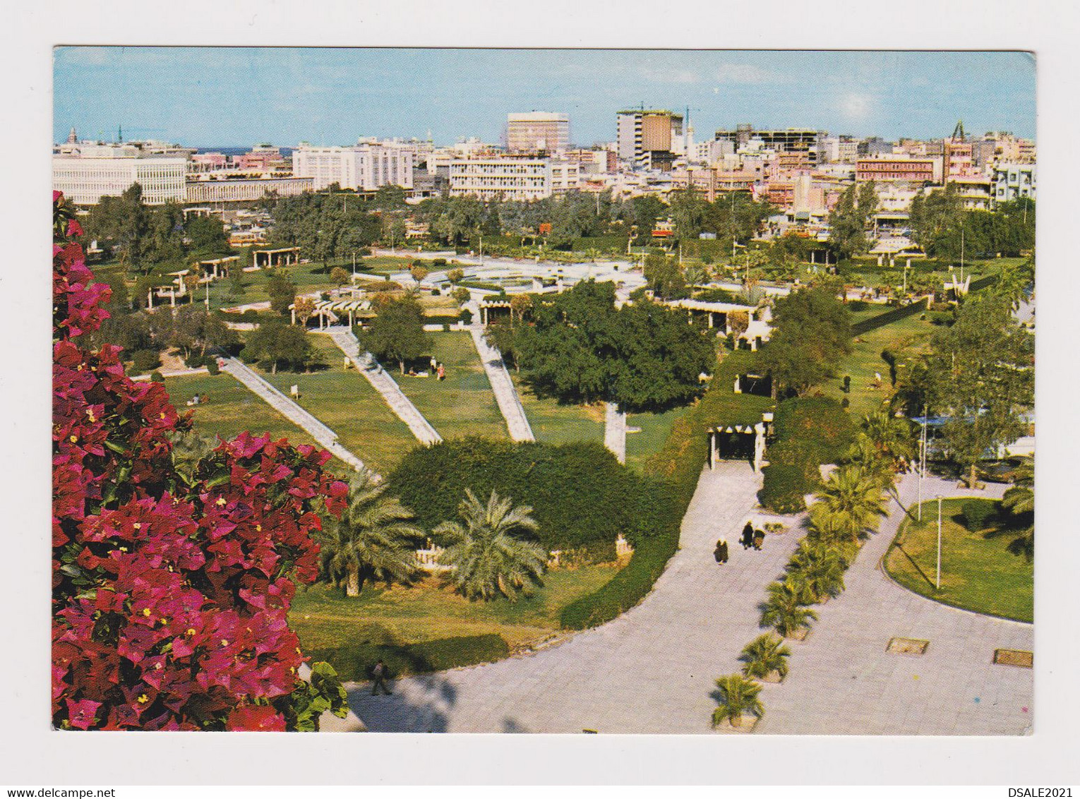 KUWAIT The Public Garden View Vintage Photo Postcard (53274) - Koeweit