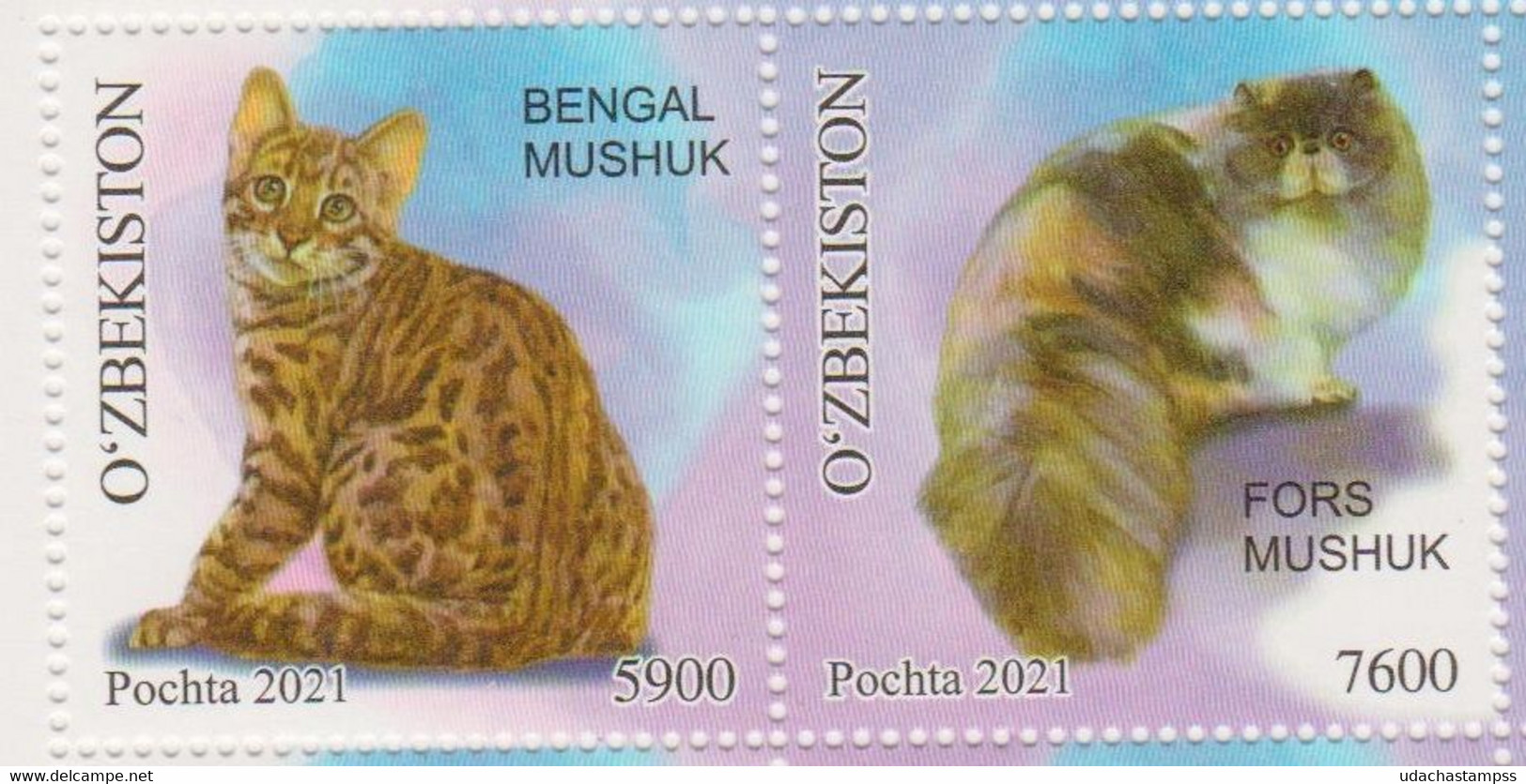 Uzbekistan 2021 Domestic Animals Cats 2v MNH - Katten