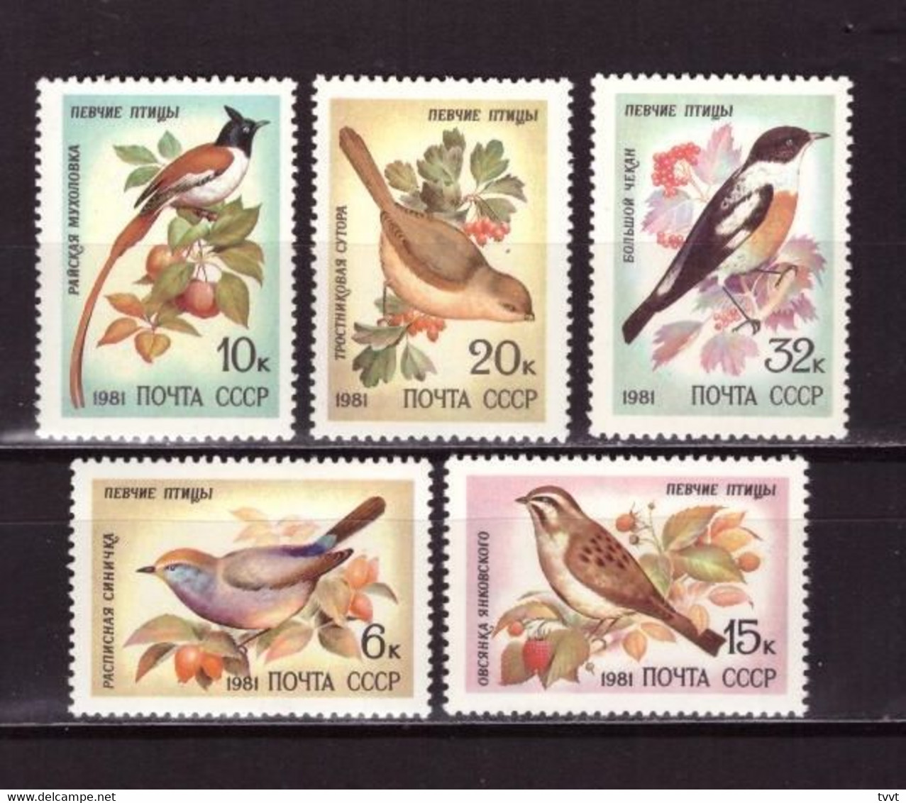 USSR, 1981. [5221-29] Birds - Altri & Non Classificati