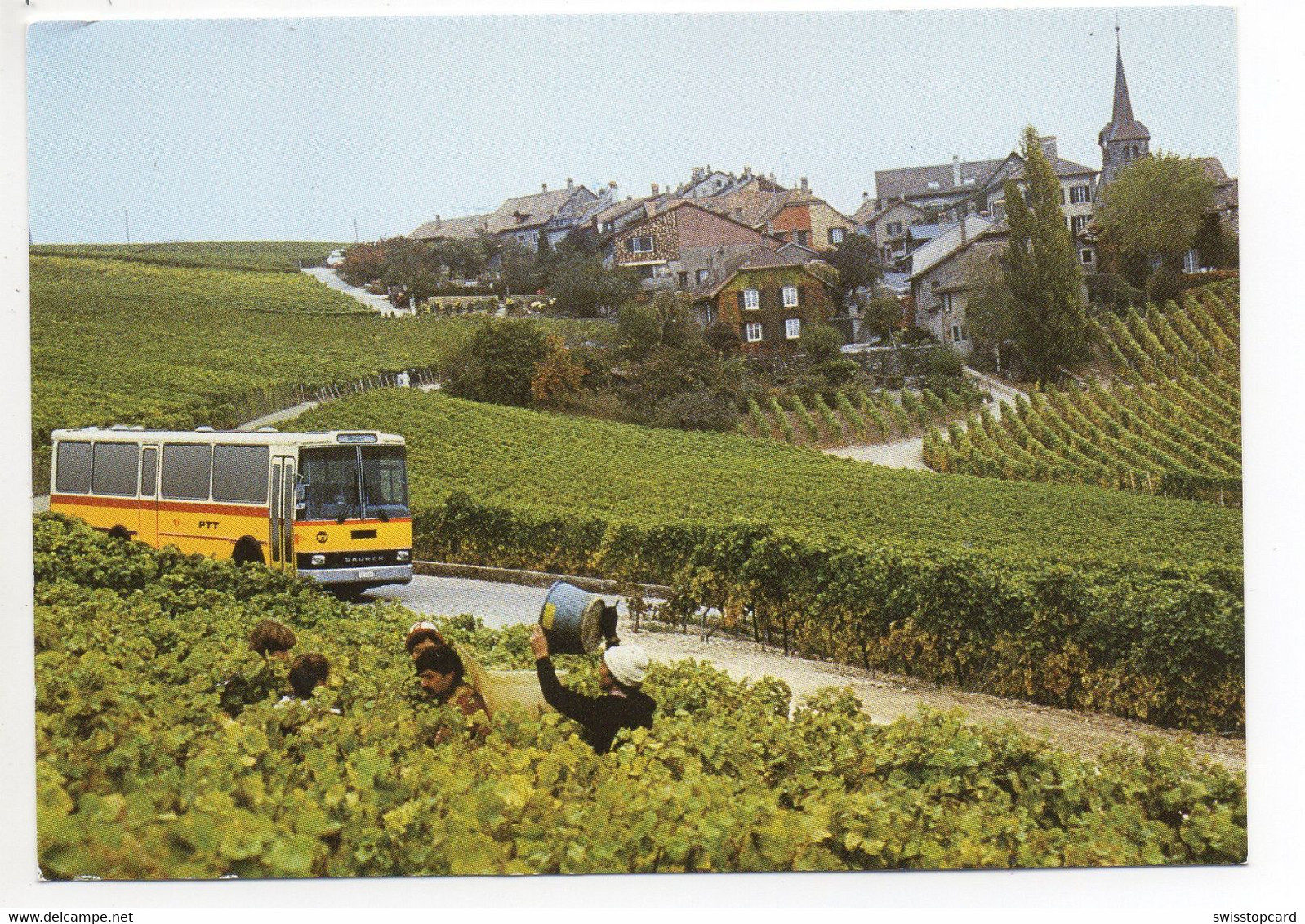 FÉCHY Weinlese Postauto Saurer - Féchy