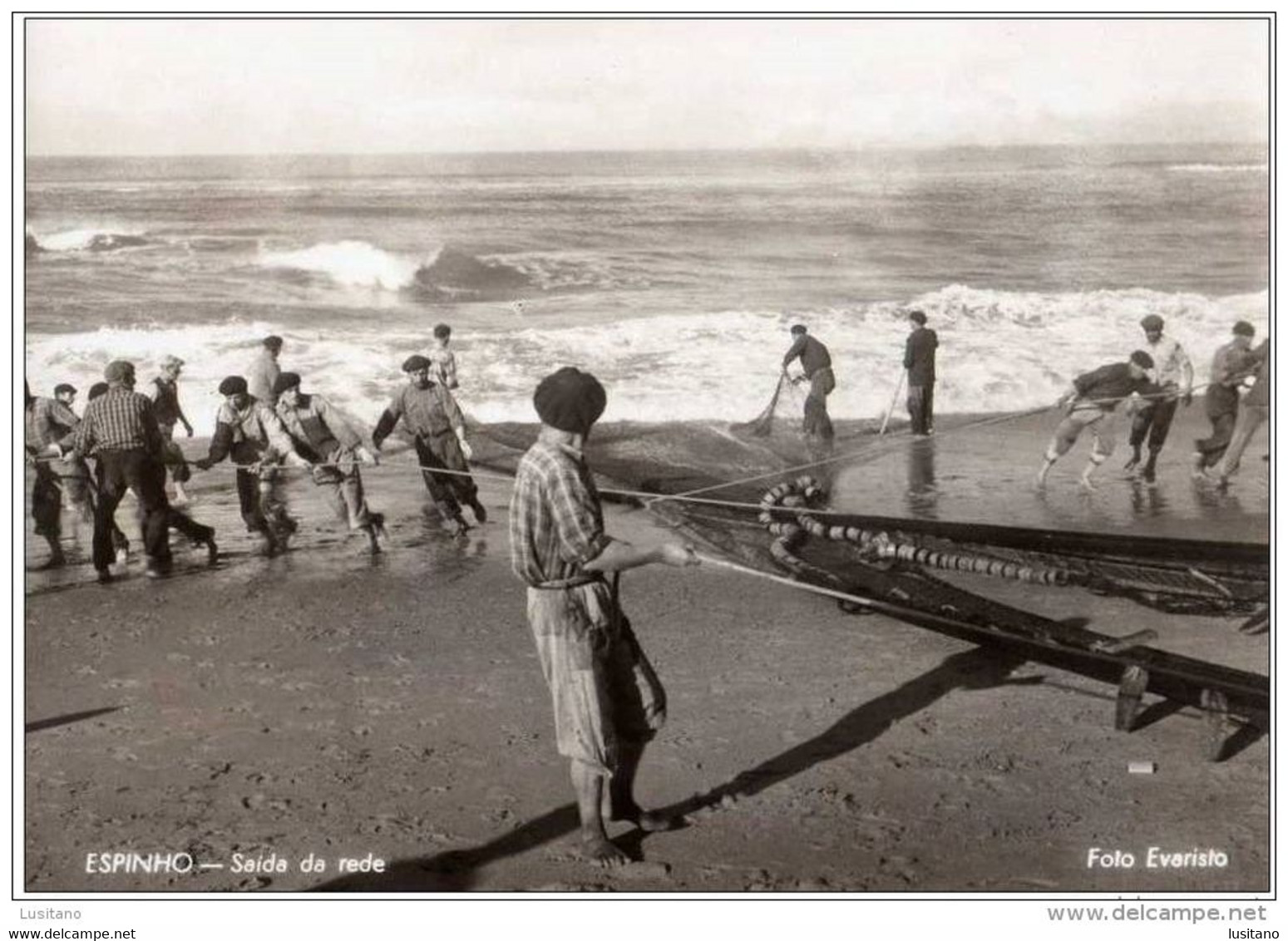 Espinho - Saida Da Rede - Filet - Pêche - Pêcheur - Portugal - Aveiro