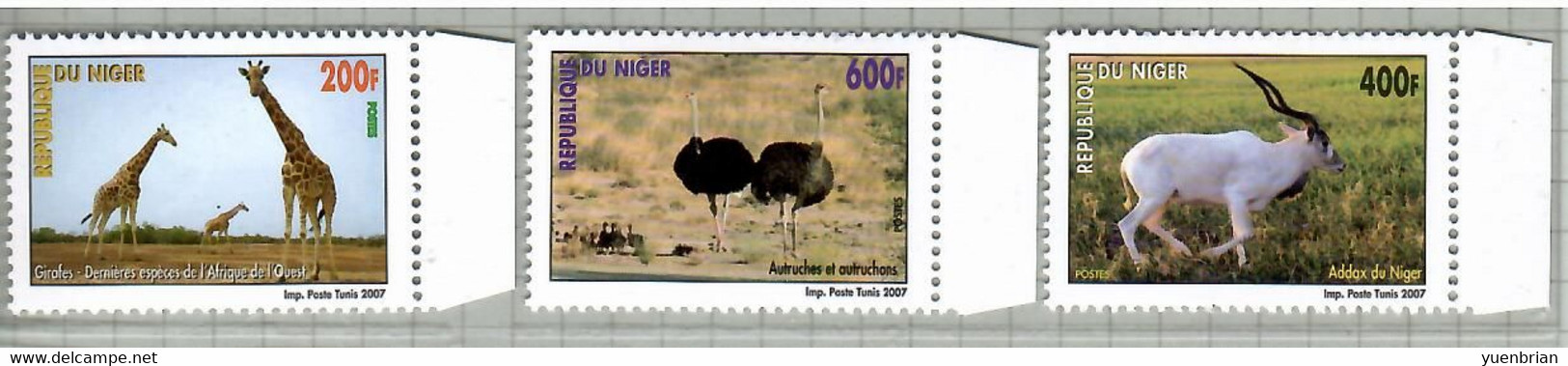 Niger 2007, Bird, Birds, Ostrich, Set Of 3v, MNH** - Ostriches