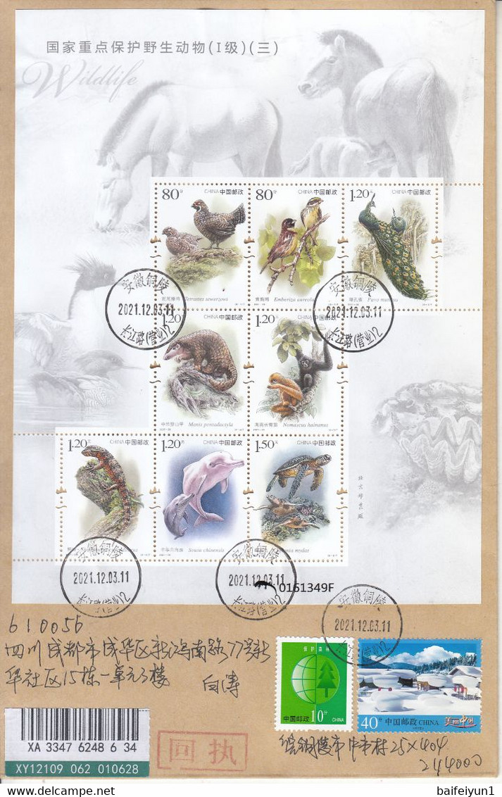 CHINA 2021-28 Important 1st Class Wildlife(III) Bird Animals Sheet Entired FDC - 2020-…