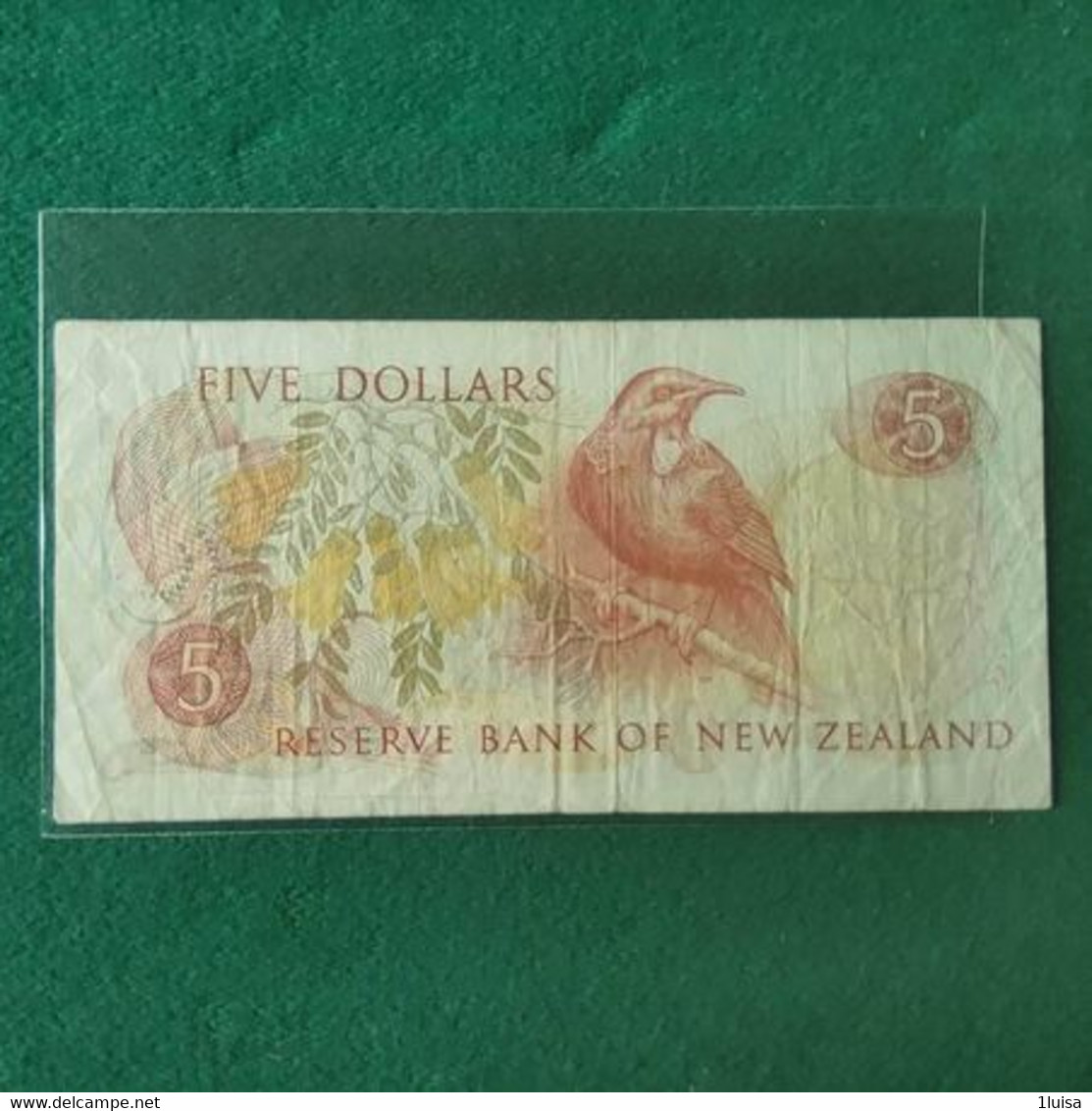 NUOVA ZELANDA 5 DOLLARS - Nueva Zelandía