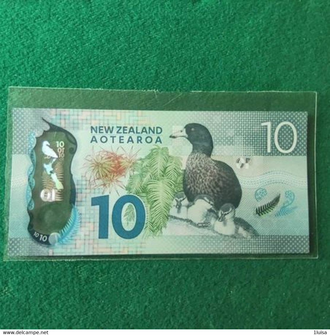 NUOVA ZELANDA 10 DOLLARS - Neuseeland