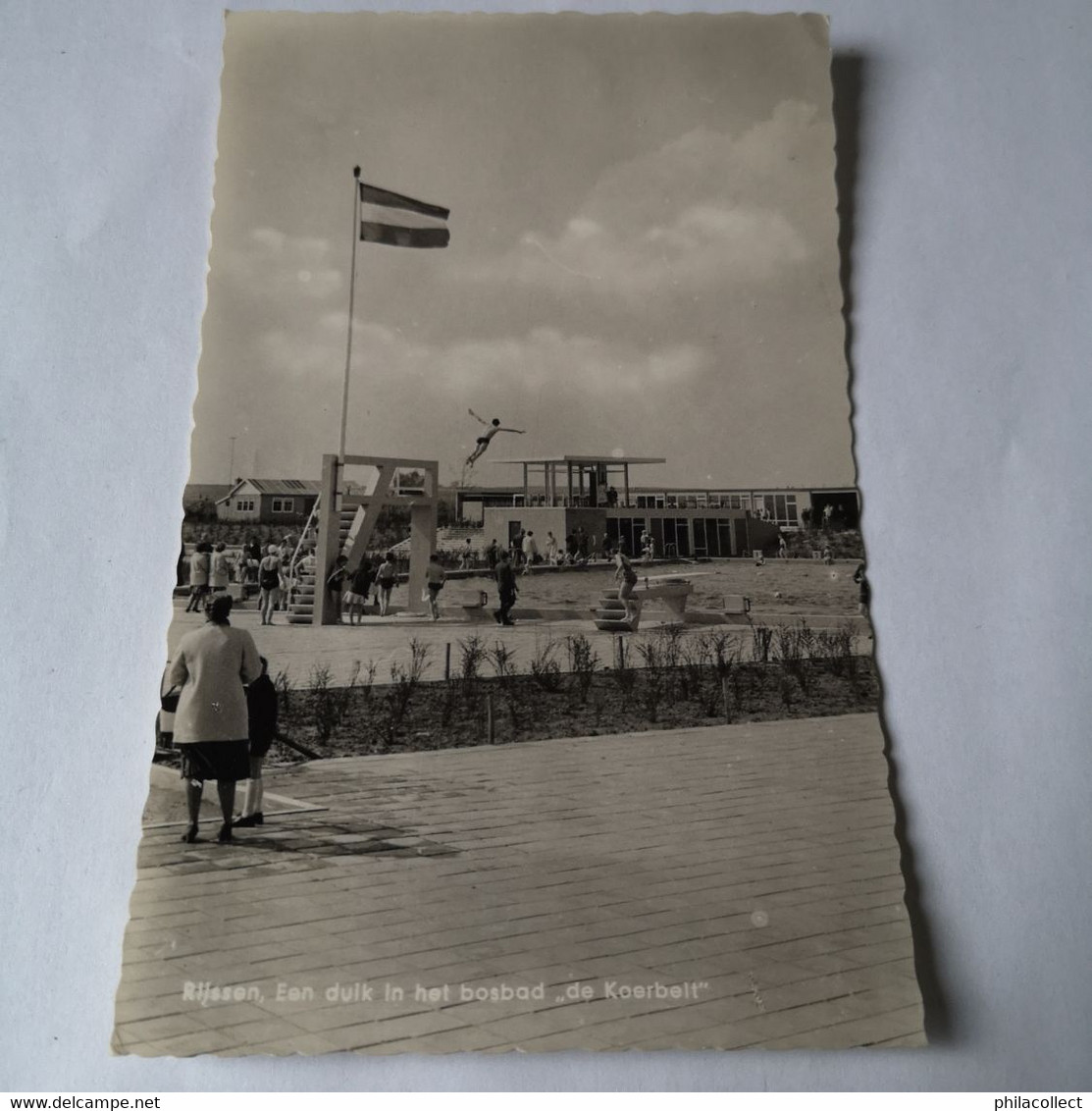 Rijssen (Ov.) Duik In Bosbad De Koerbelt 1961 - Rijssen