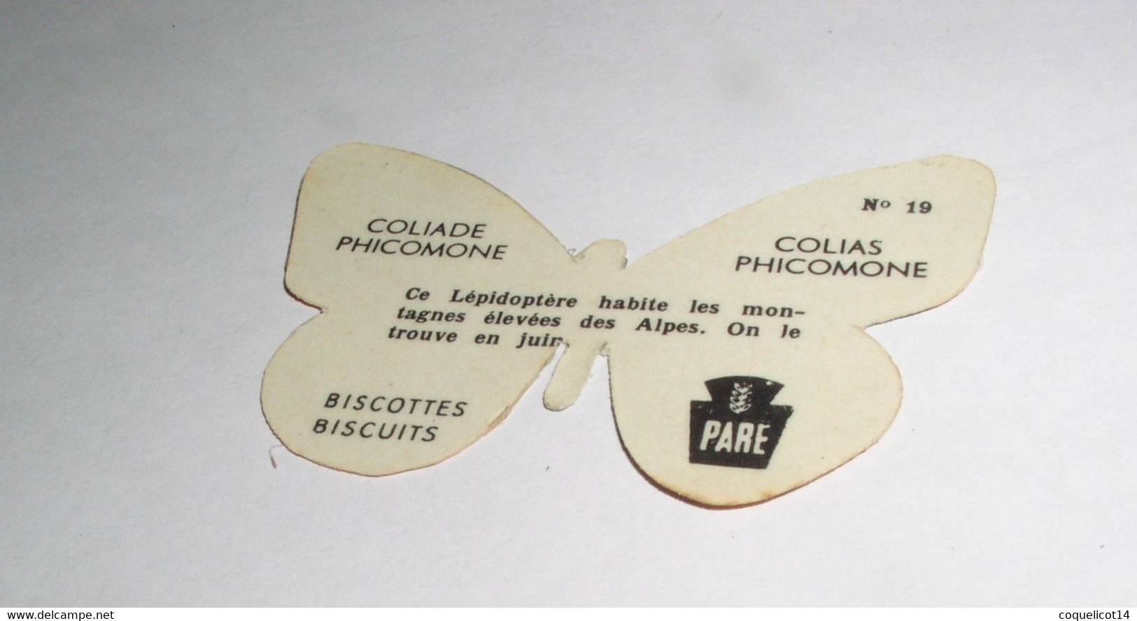 Biscottes Biscuits Paré Découpis Papillon N°19 Coliade Phicomone - Animals