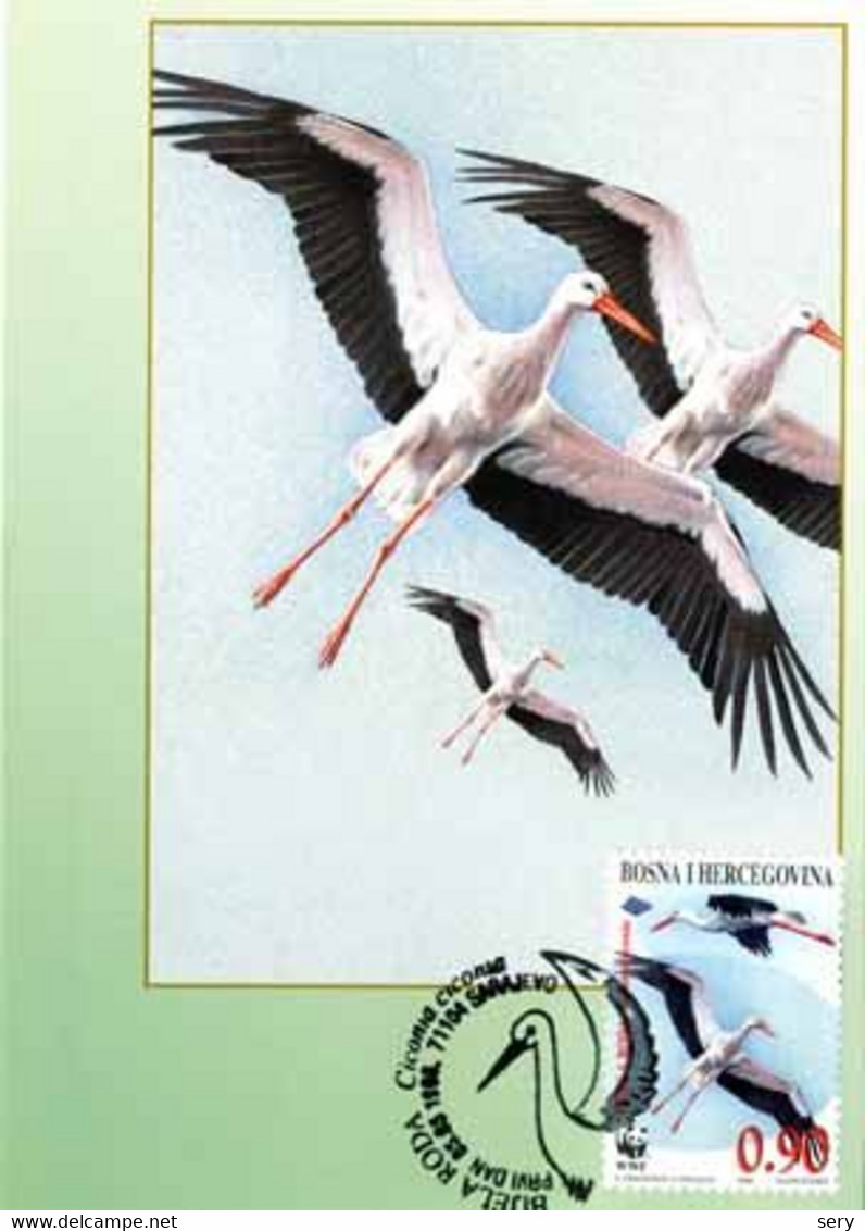 Bosnia And Herzegovina 1998 Maxi Card MC  White Stork Cigogne Blanche Birds Bird Oiseaux Oiseau - Picotenazas & Aves Zancudas