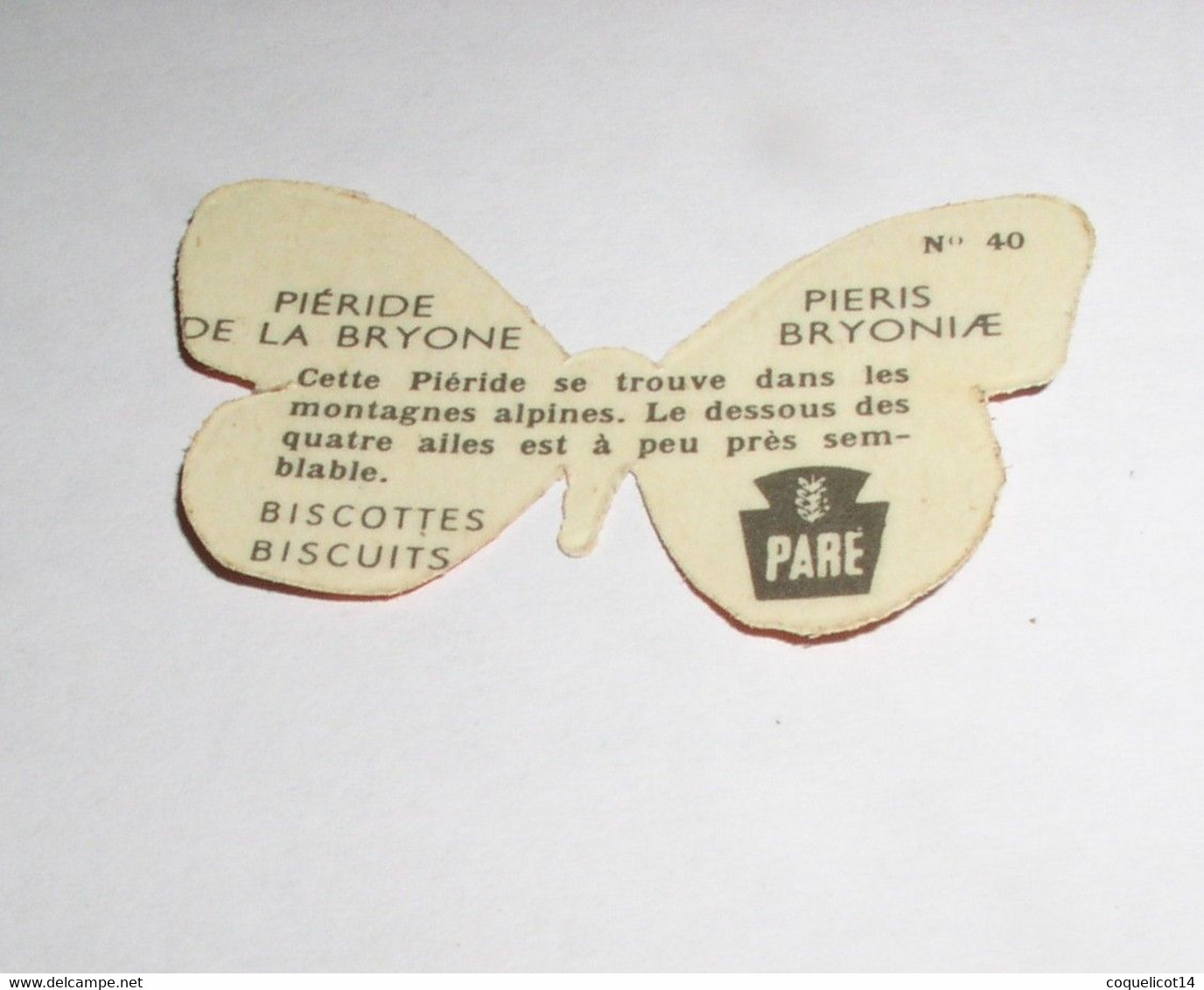 Biscottes Biscuits Paré Découpis Papillon N°40 Piéride De La Bryone - Tiere