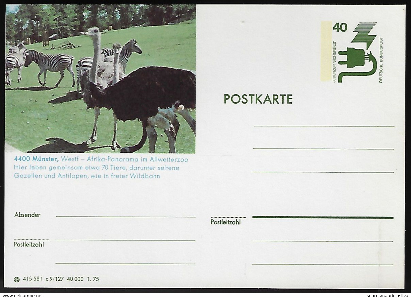 Germany 1975 Postal Stationery Card Animal Fauna Bird Ostrich And Mammal Zebra At The Allwetter Zoo In Münster Unused - Struzzi