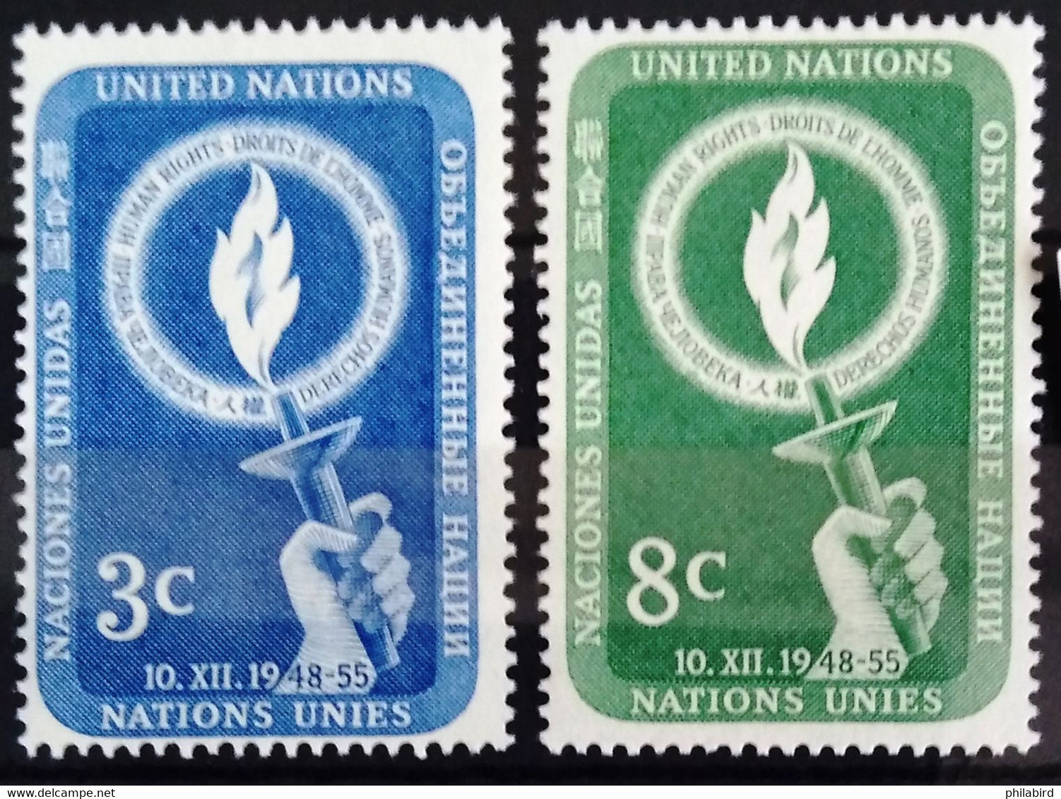 NATIONS-UNIS - NEW YORK                   N° 38/39                       NEUF** - Unused Stamps