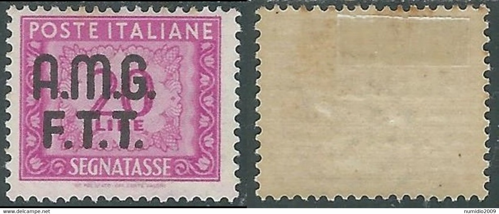 1947-49 TRIESTE A SEGNATASSE 20 LIRE GOMMA BICOLORE LINGUELLATO - P17-7 - Strafport