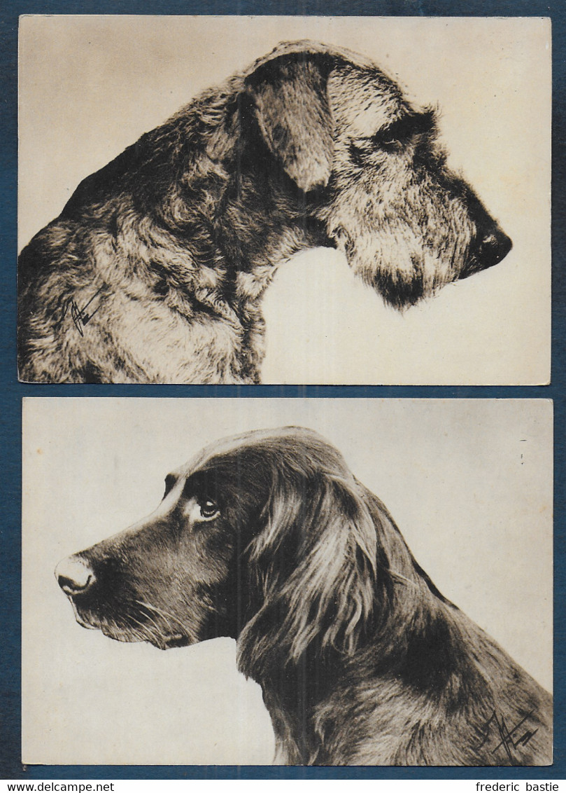 CHIENS - 6 Cartes - Format Cpa - Honden